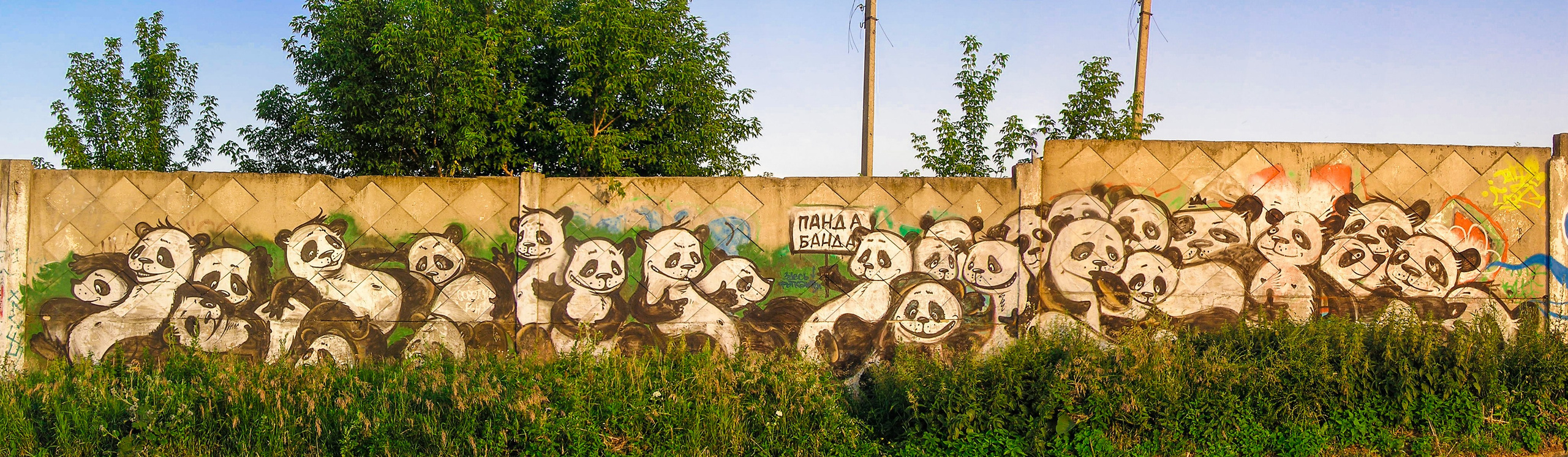 Graffiti. Alexander Stan Shimanov