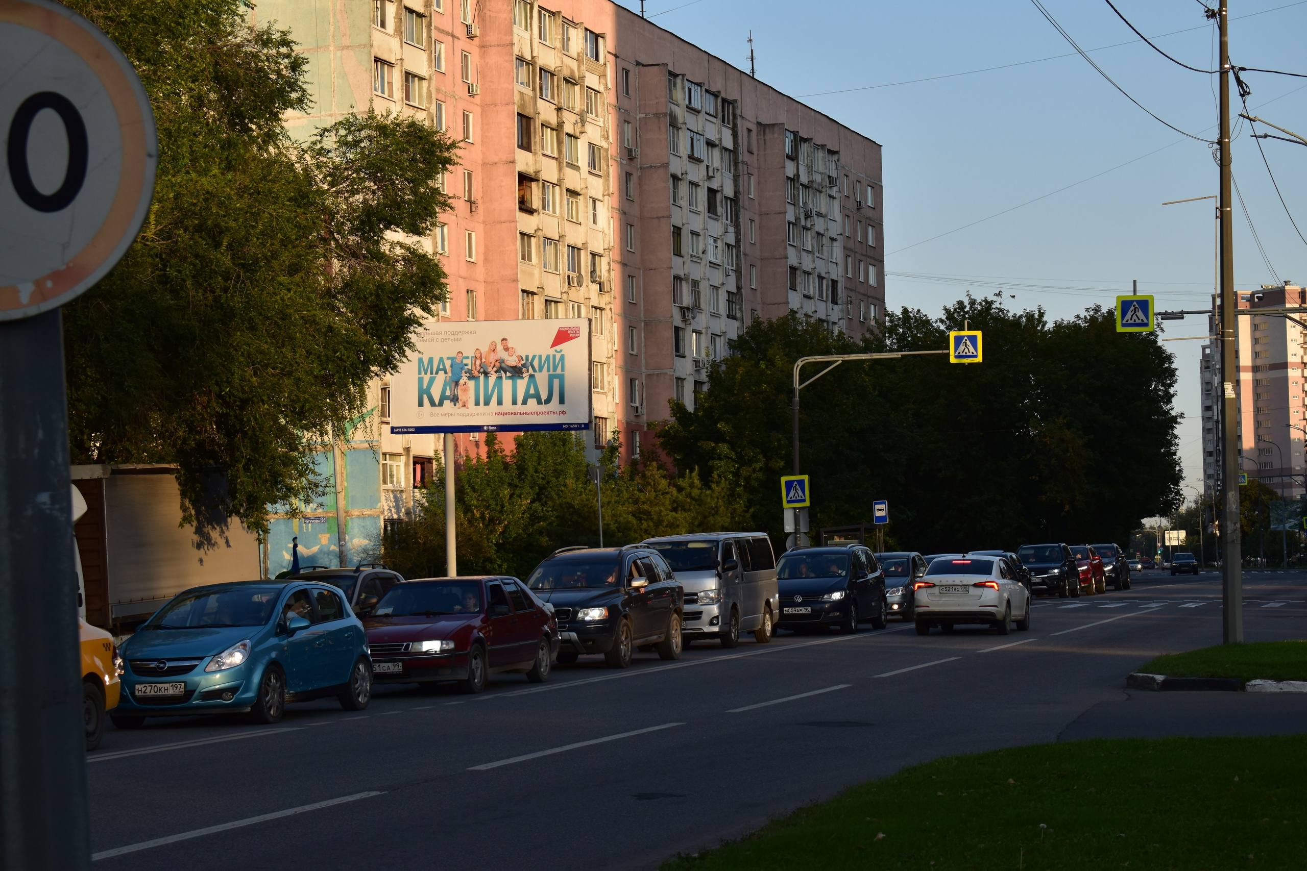Лето 2025. Фотограф Анатолий Мелентьев