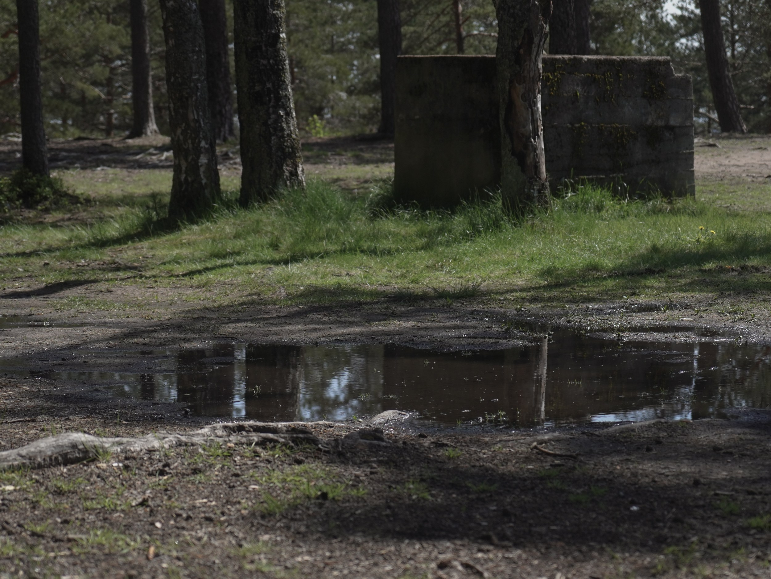 Смерть-гора (2025 — наст.вр). Главная