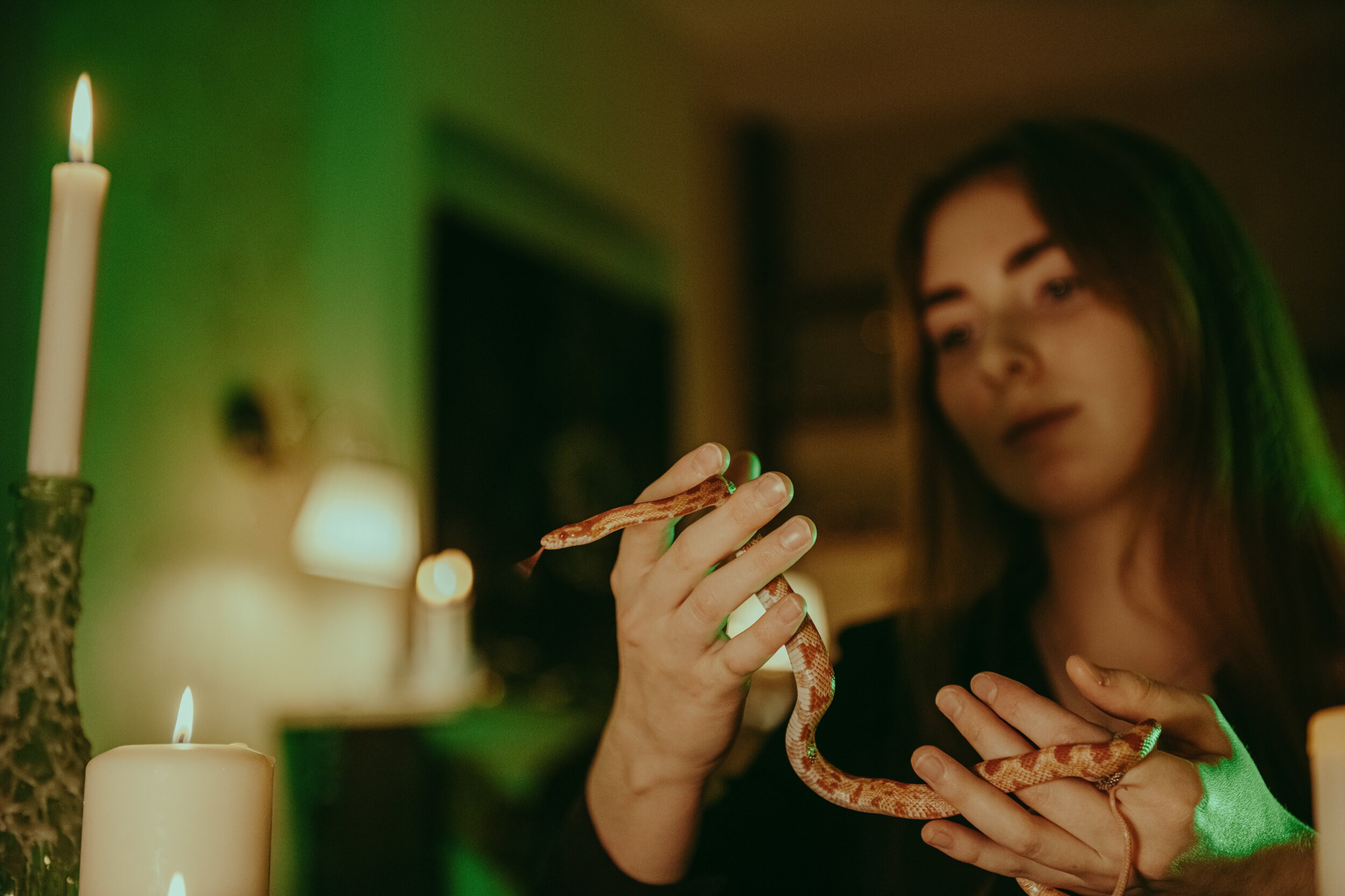 Фотопроект «МОСКОВСКИЙ ХОГВАРТС». Коваленко Светлана, фотограф в Москве. Концерты, события и люди