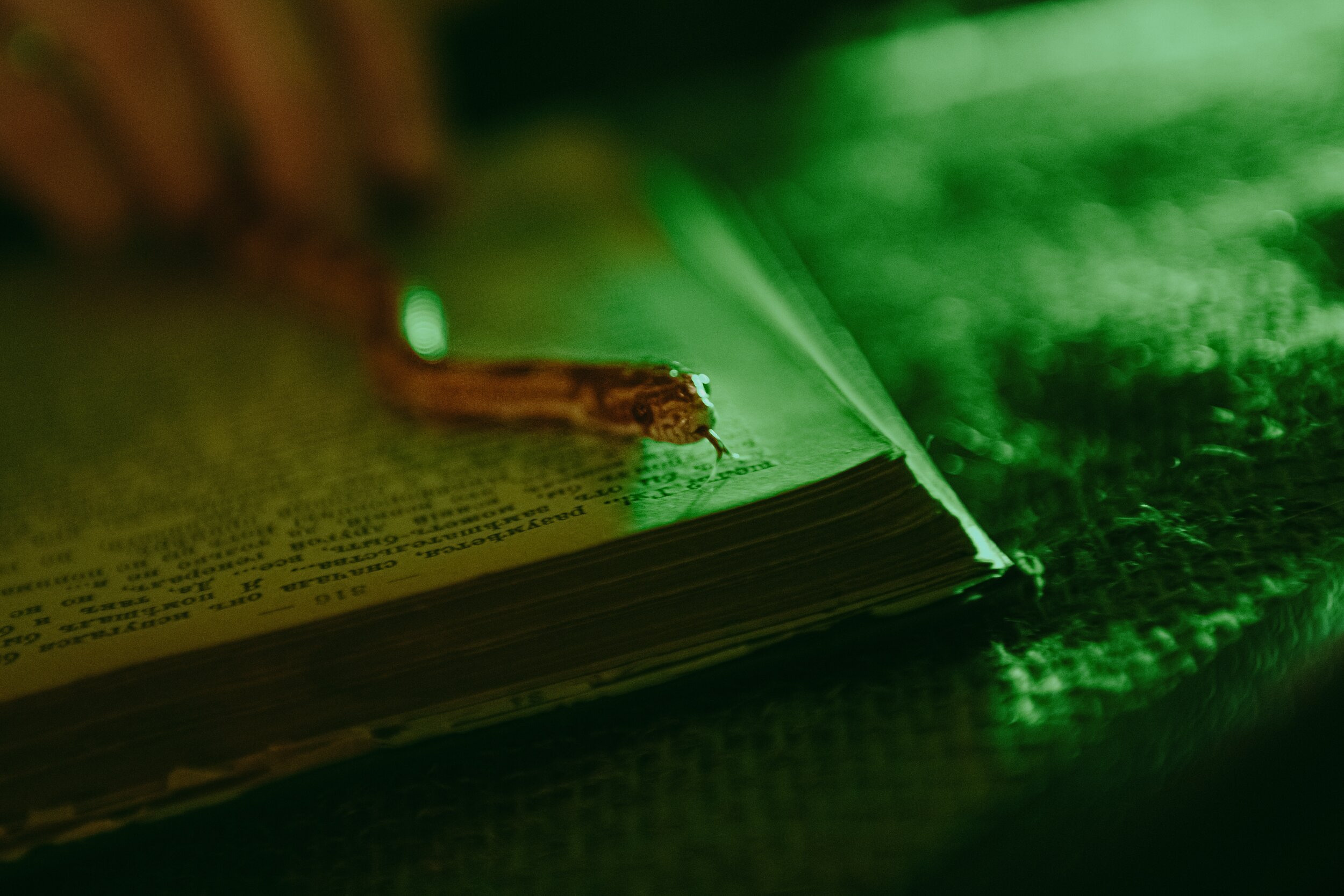 Фотопроект «МОСКОВСКИЙ ХОГВАРТС». Коваленко Светлана, фотограф в Москве. Концерты, события и люди