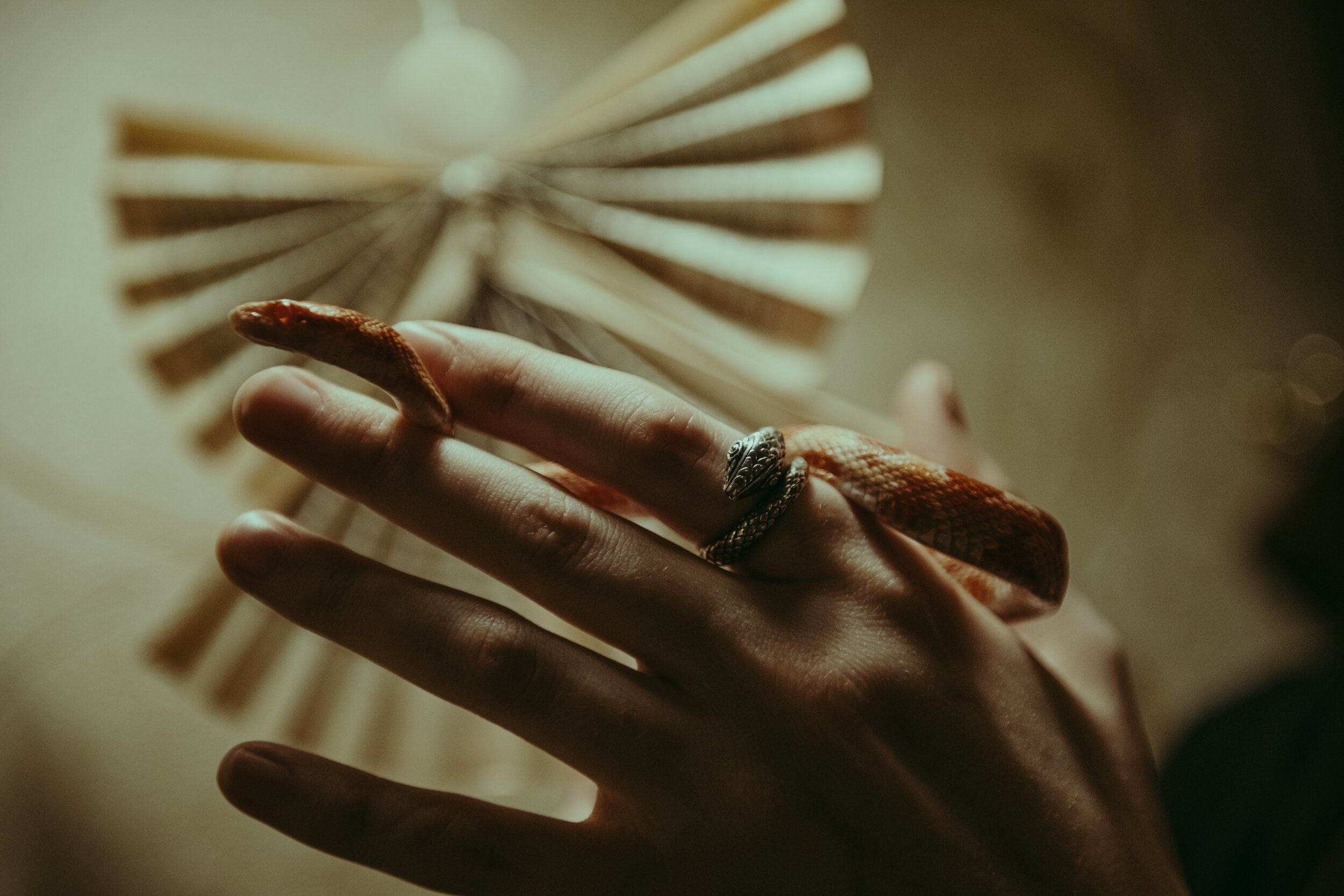 Фотопроект «МОСКОВСКИЙ ХОГВАРТС». Коваленко Светлана, фотограф в Москве. Концерты, события и люди