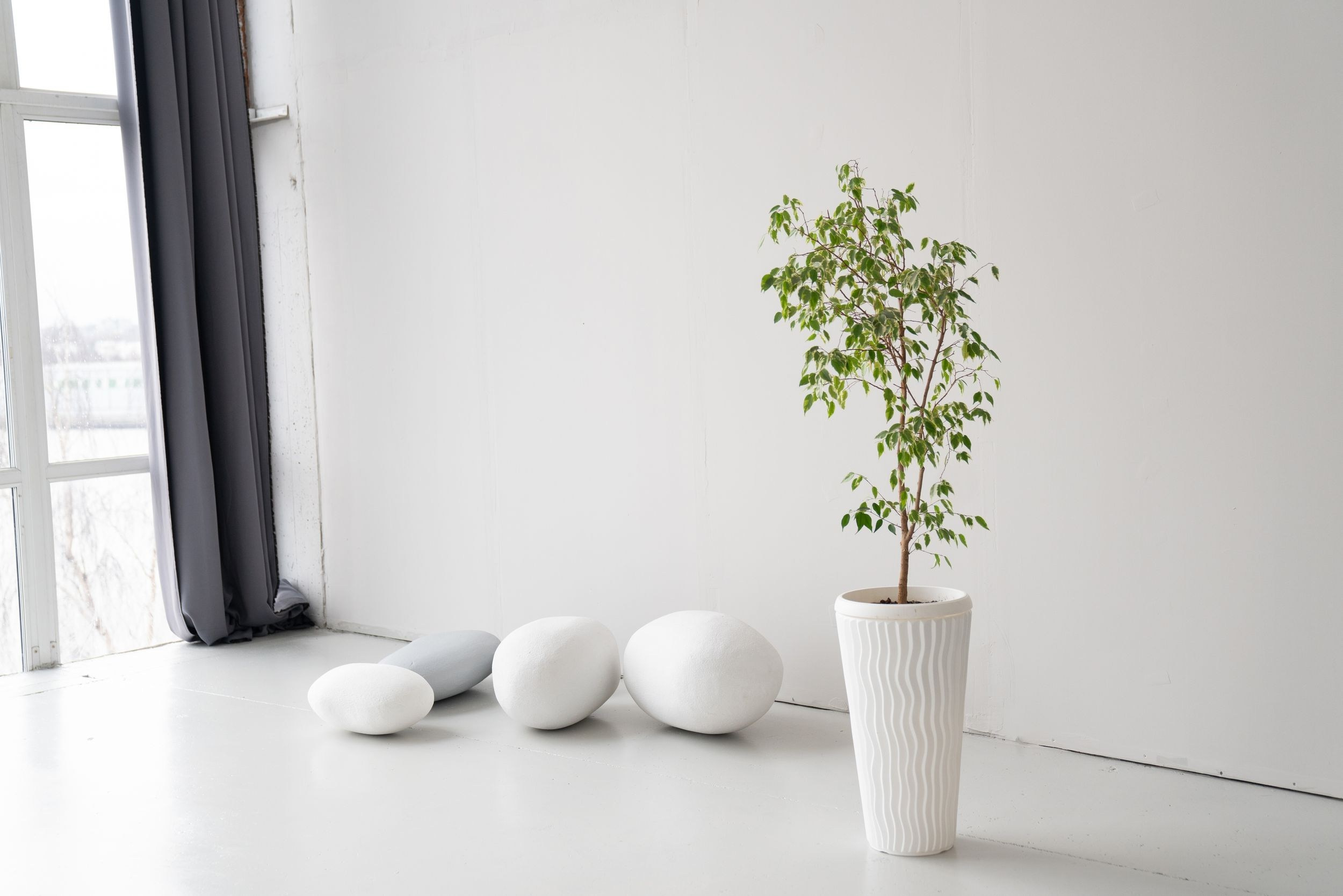 Фотостудии Калининград. Свадебный фотограф Калининград Пасюта Данила