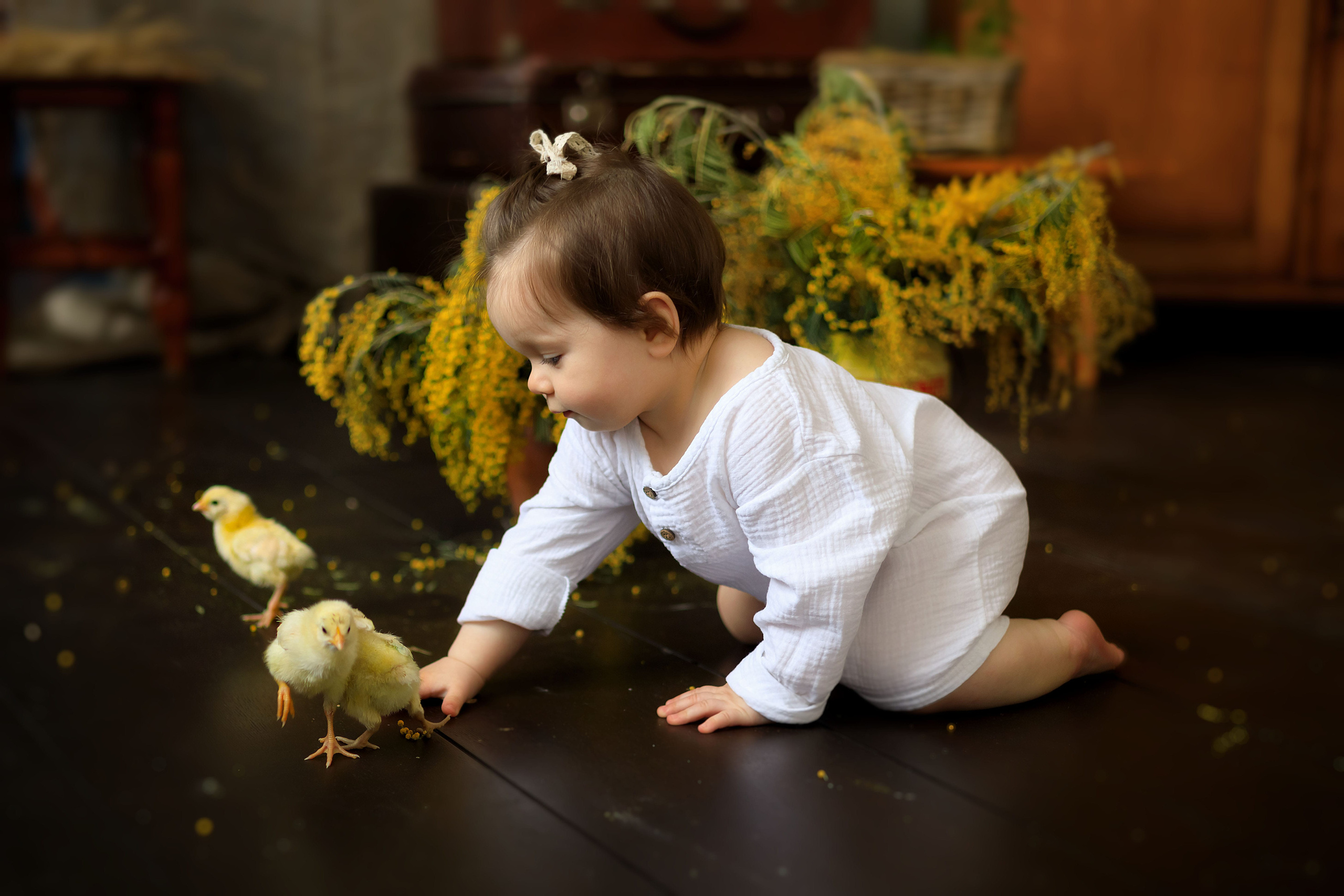 Фотосессия с животными. Семейный / детский фотограф в Краснодаре — Дарья Гасанова