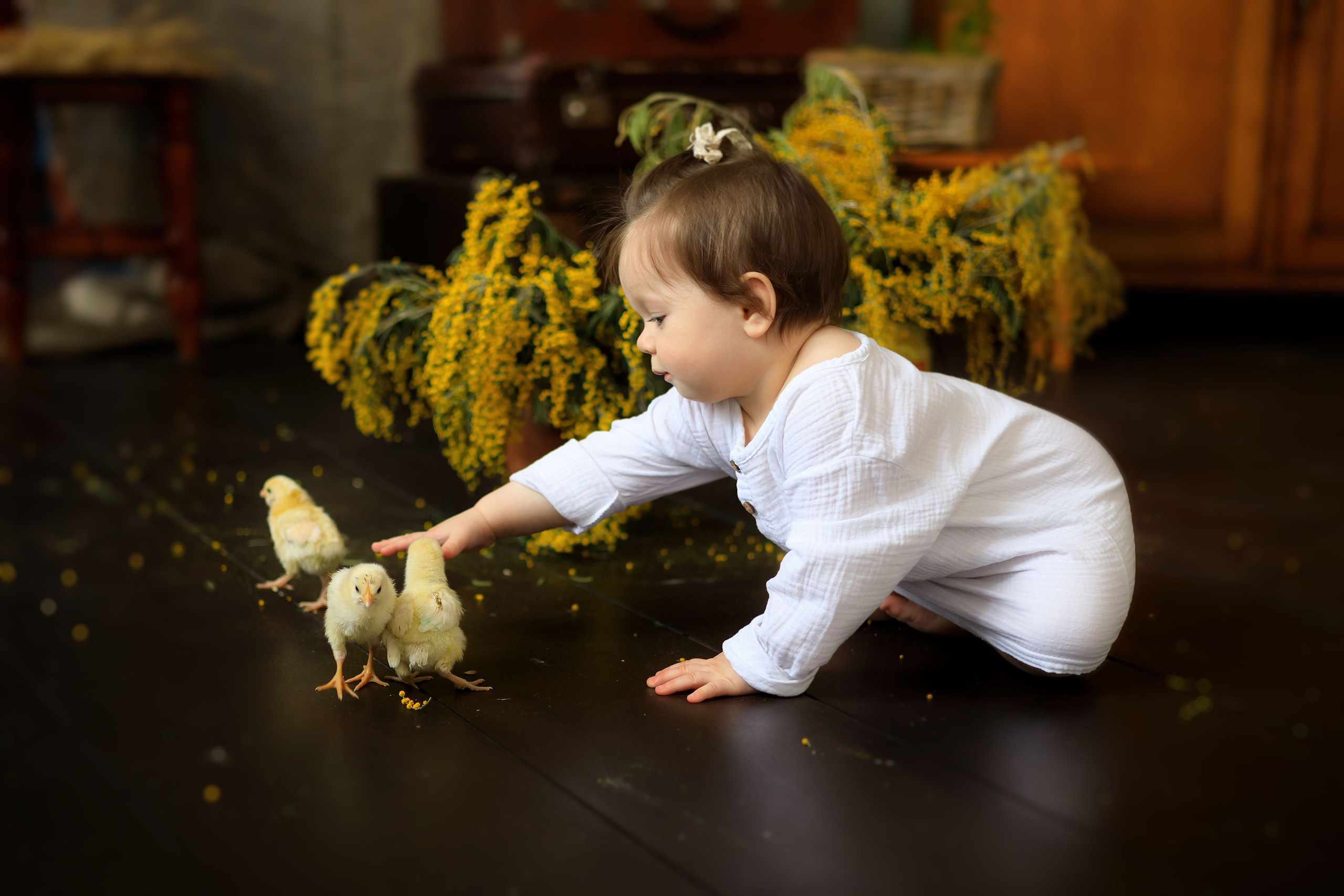 Фотосессия с животными. Семейный / детский фотограф в Краснодаре — Дарья Гасанова