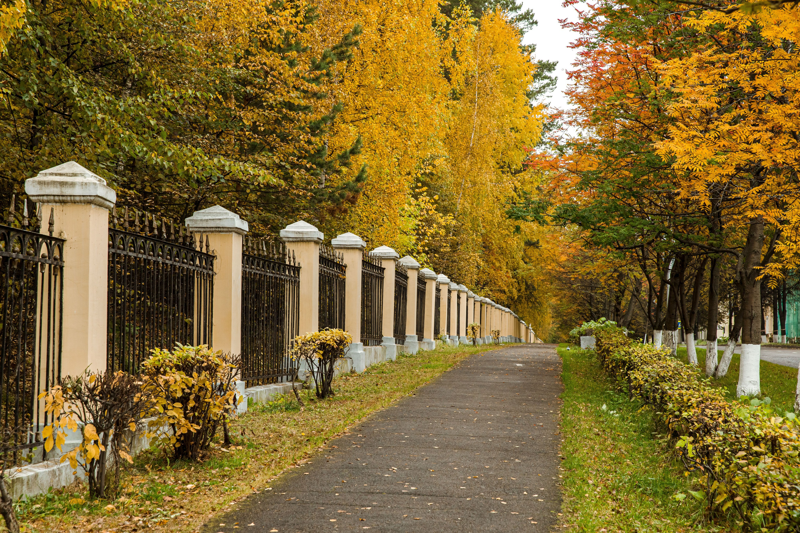 Осень в парке. Семейный и детский фотограф в Железногорске Саламахо Ольга