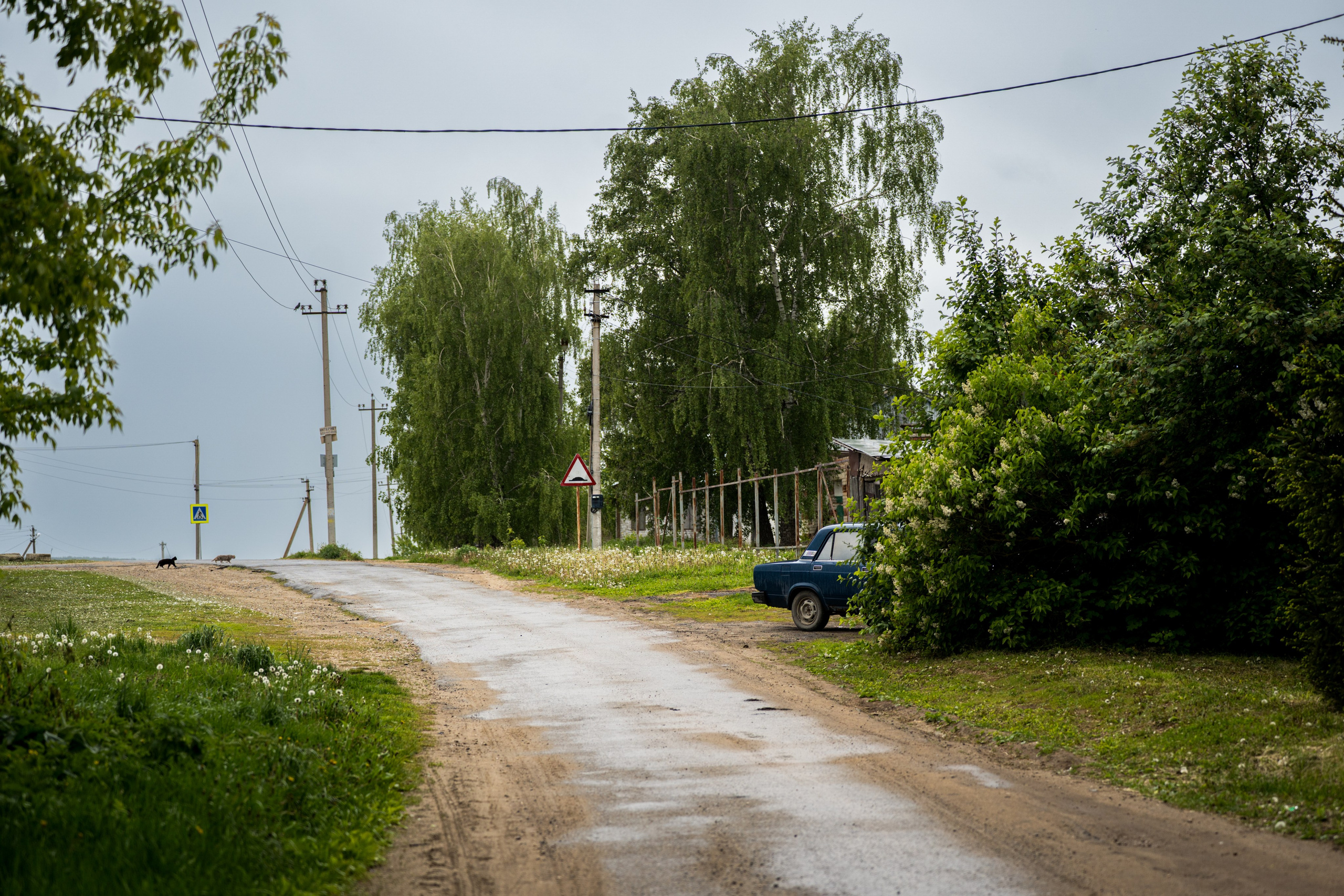 Курс «Стрит фотография»