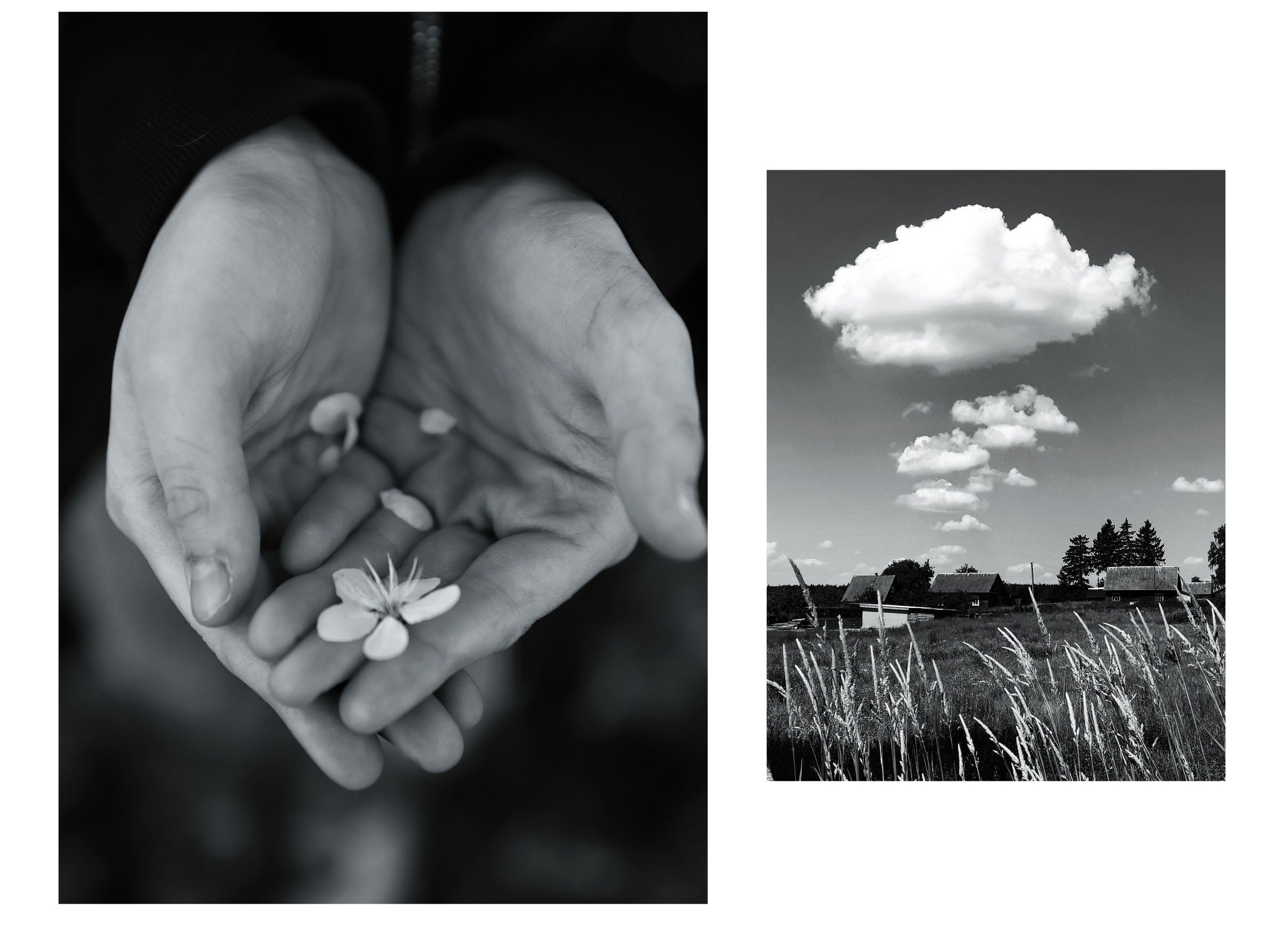 Connections (2020-2023). Tatyana Mazok creative photographer in Minsk