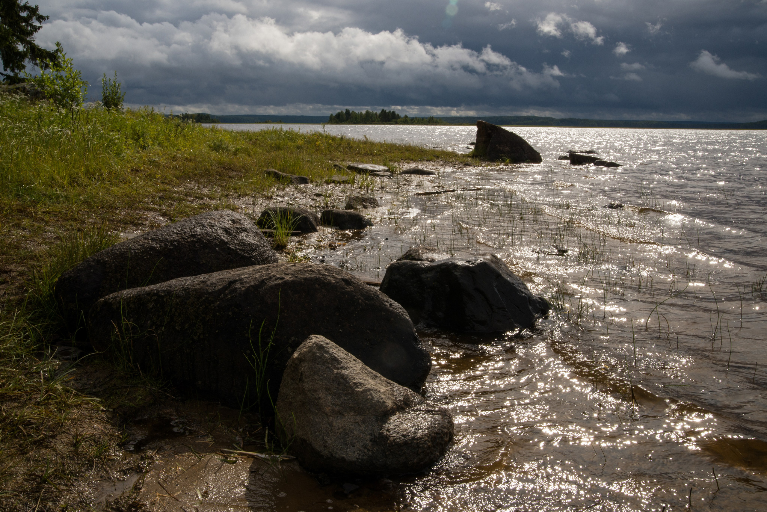 Where the sun shines. Alyona Kochetkova | Photographer and photography educator