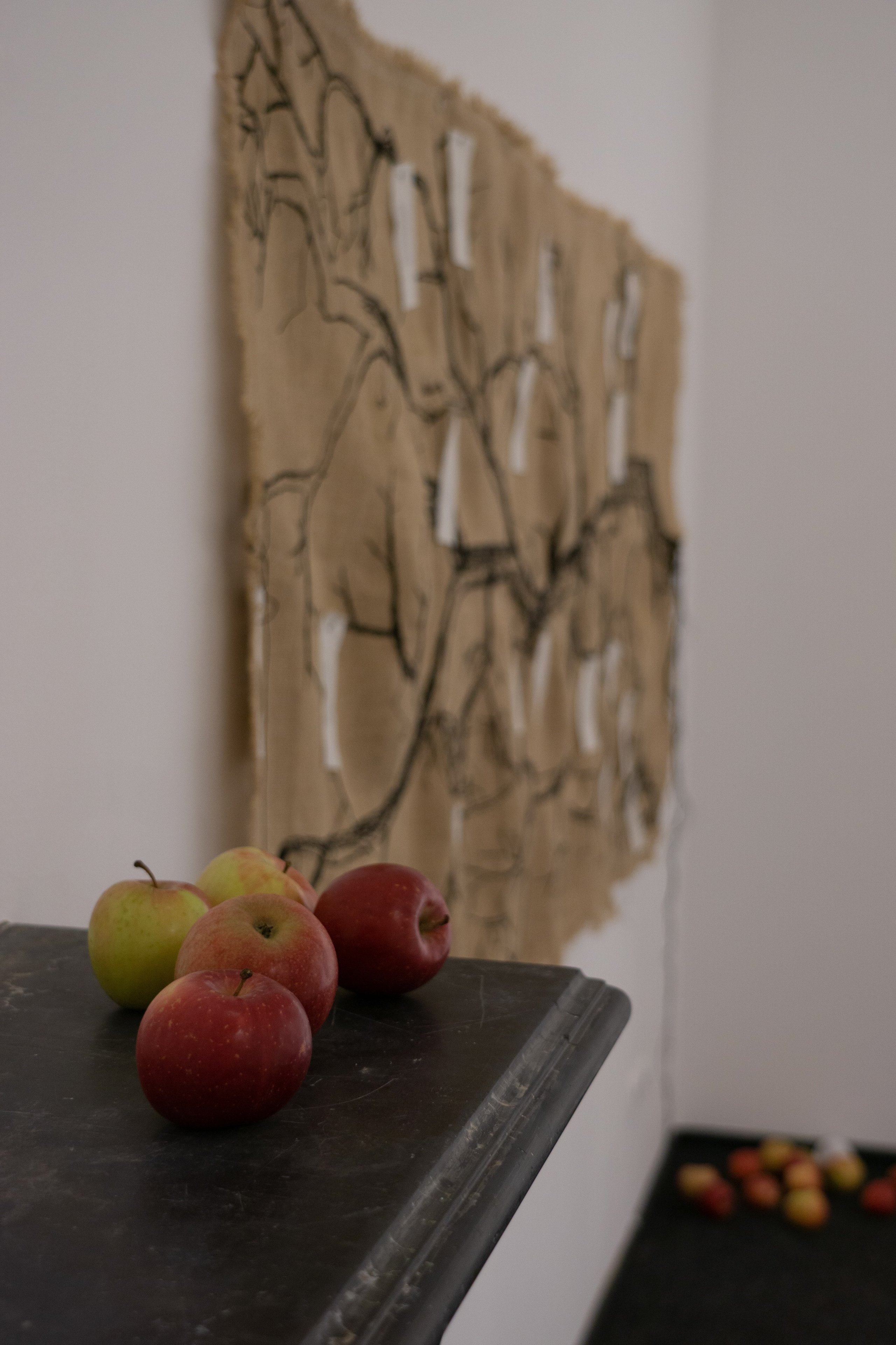 Локус. Anna Vishnevskaya