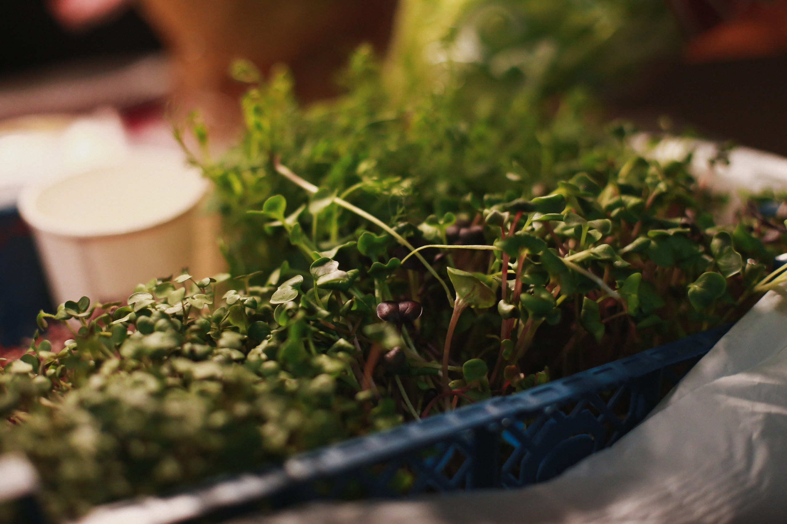 Репортаж. Фотограф историй в Челябинске и Екб