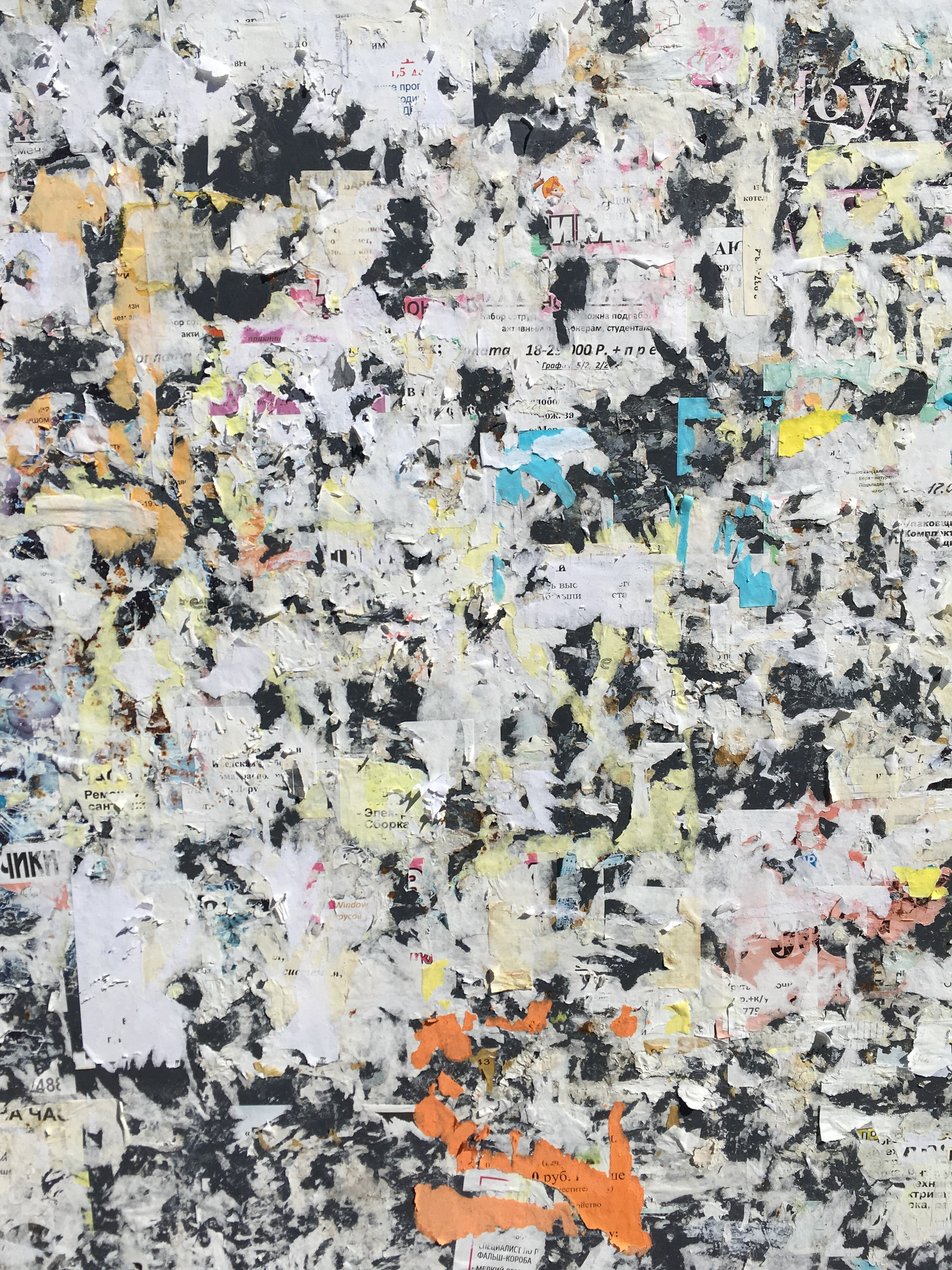 Предвзятая действительность. Дима Птицын