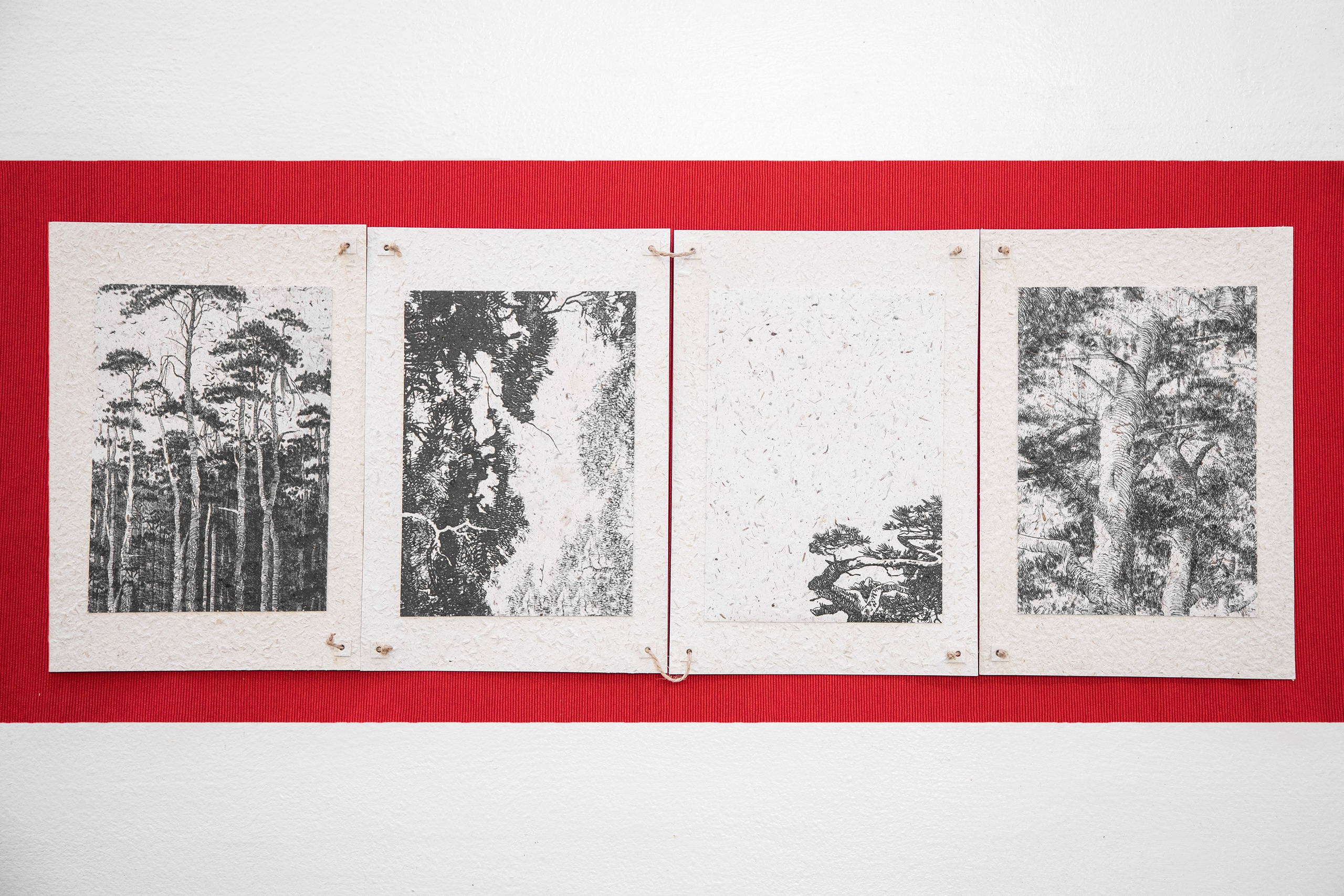 A Collection of Exercises (2023)