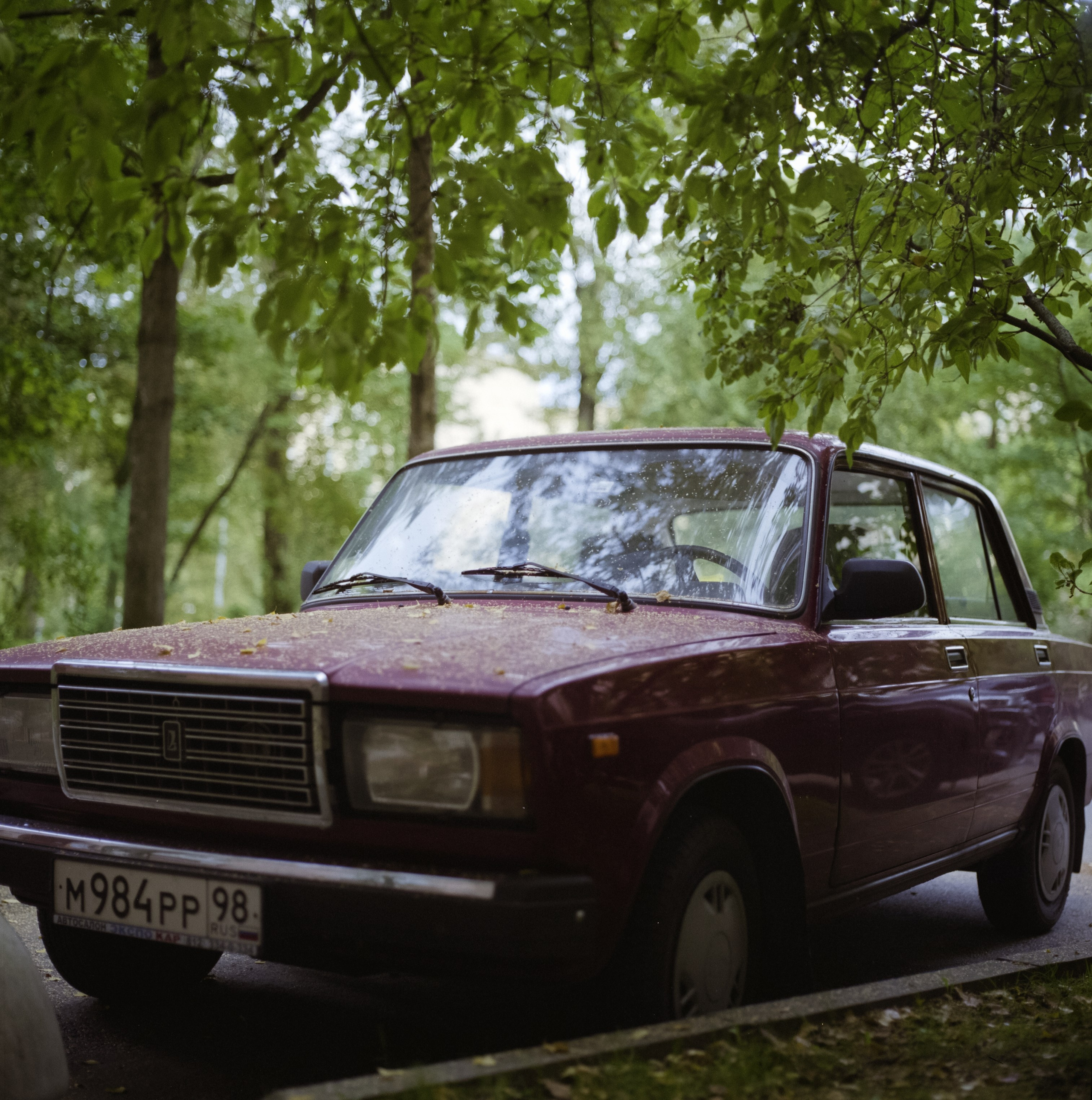Мой путь в плёночной фотографии. Colorist Ivan Serzhanov