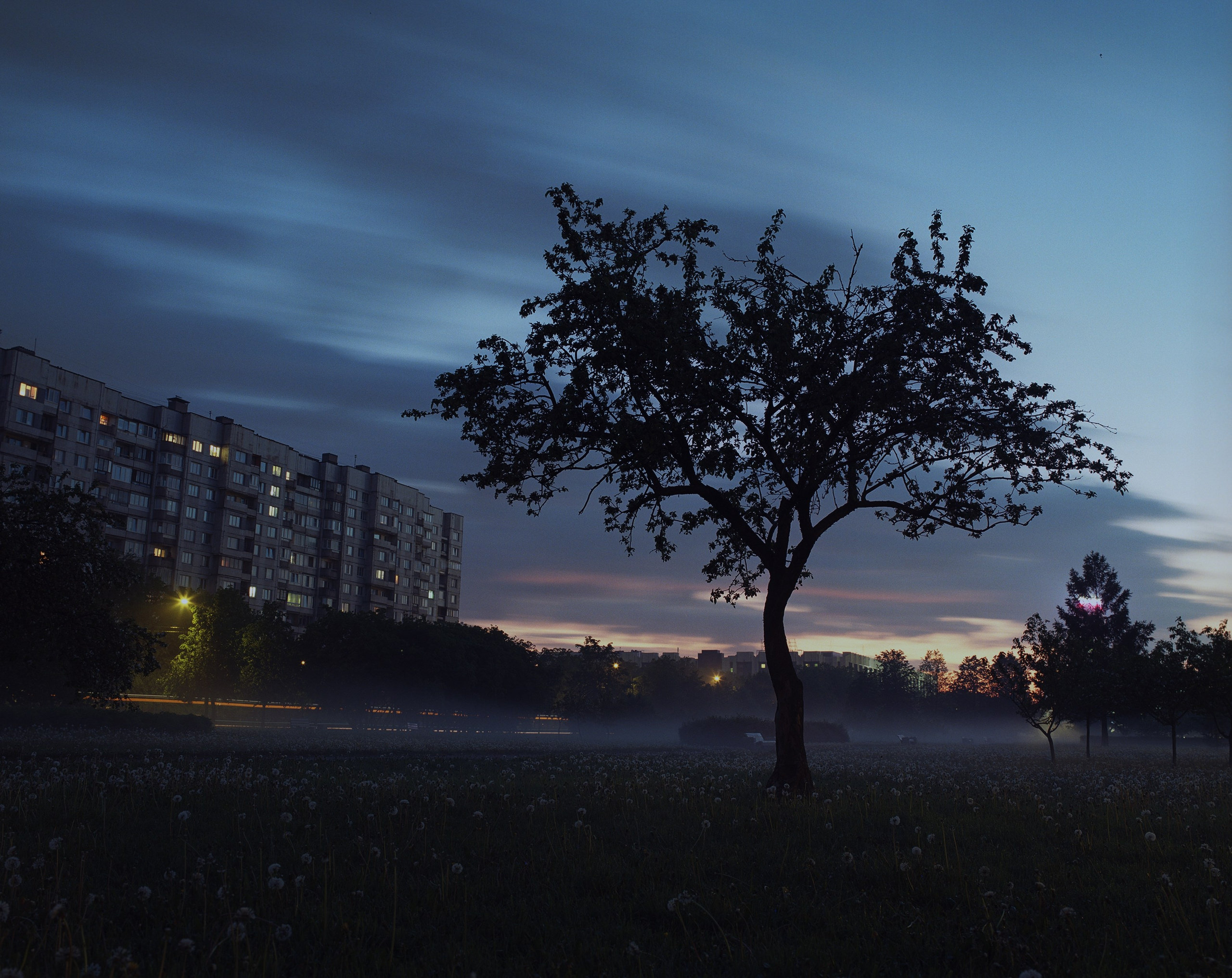 Мой путь в плёночной фотографии. Colorist Ivan Serzhanov
