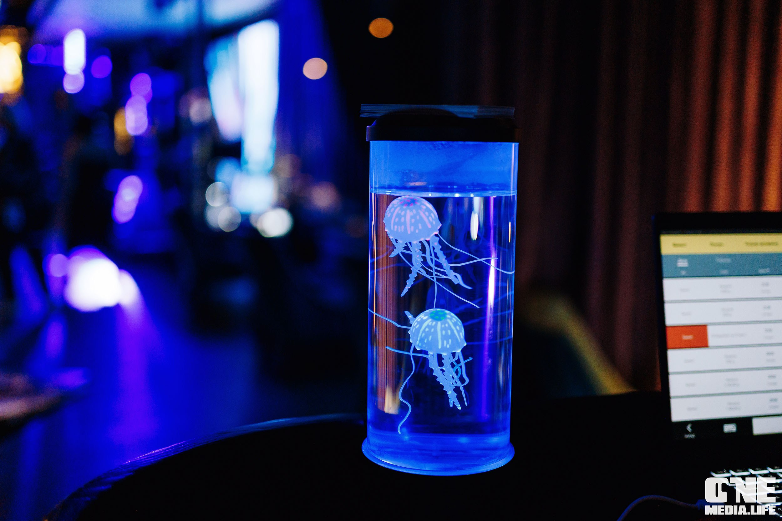 Фоторепортаж из ресторана Океан. One Media Life: фоторепортажи, фотоотчеты с мероприятий и заведений