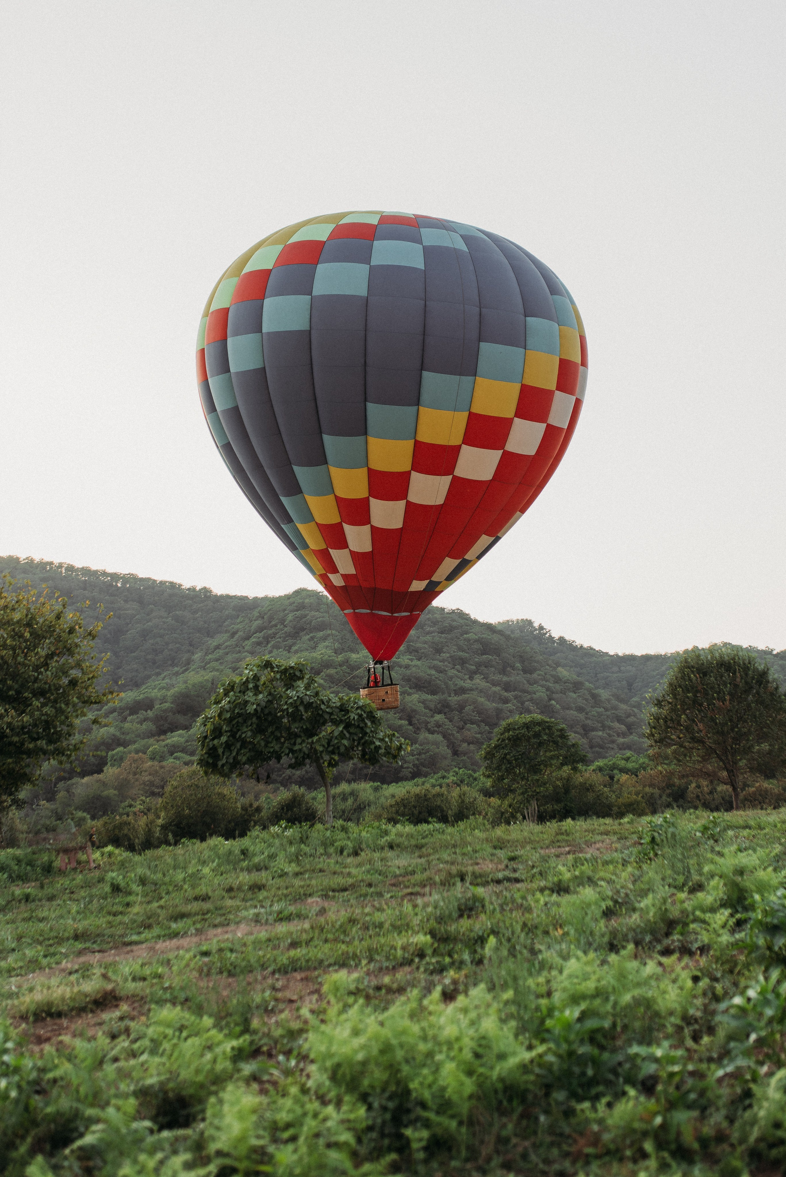 Фотосъемки в горах на чайных плантациях Сочи. Фотограф в Сочи — Маргарита Поганова