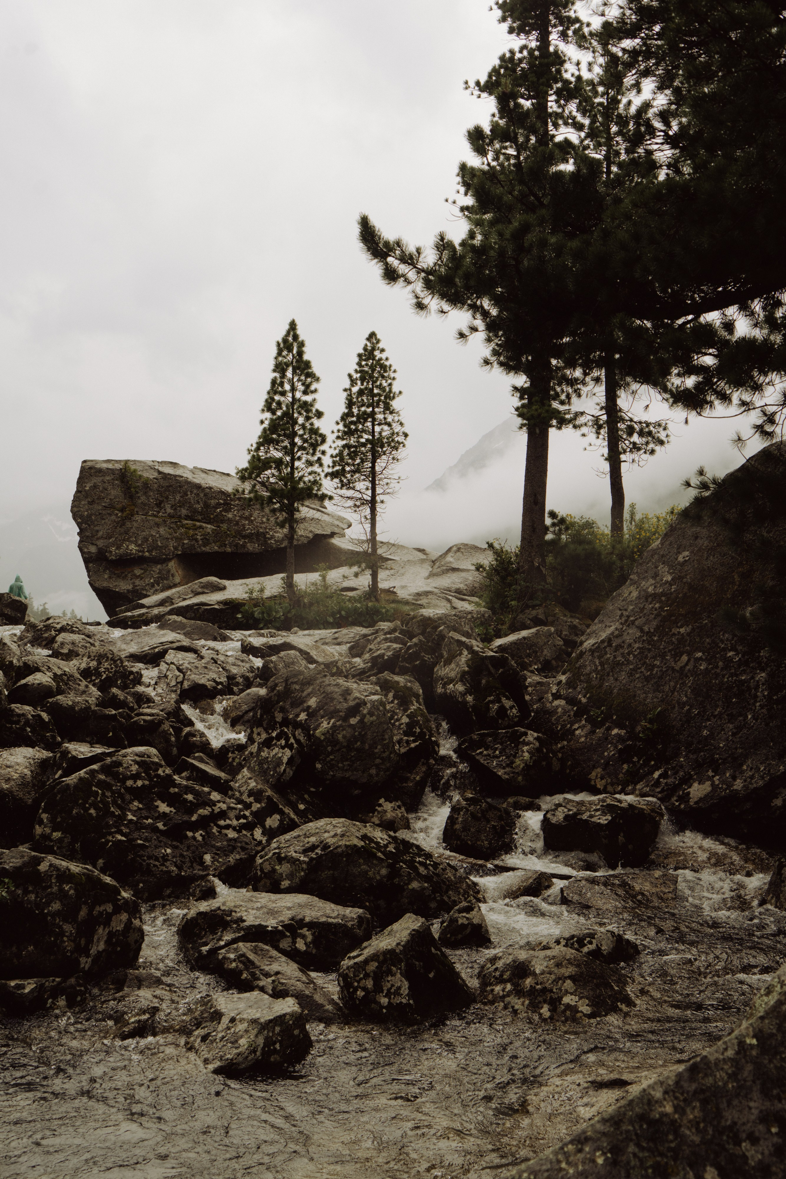 Алтай 2025. Лиза Фирстова