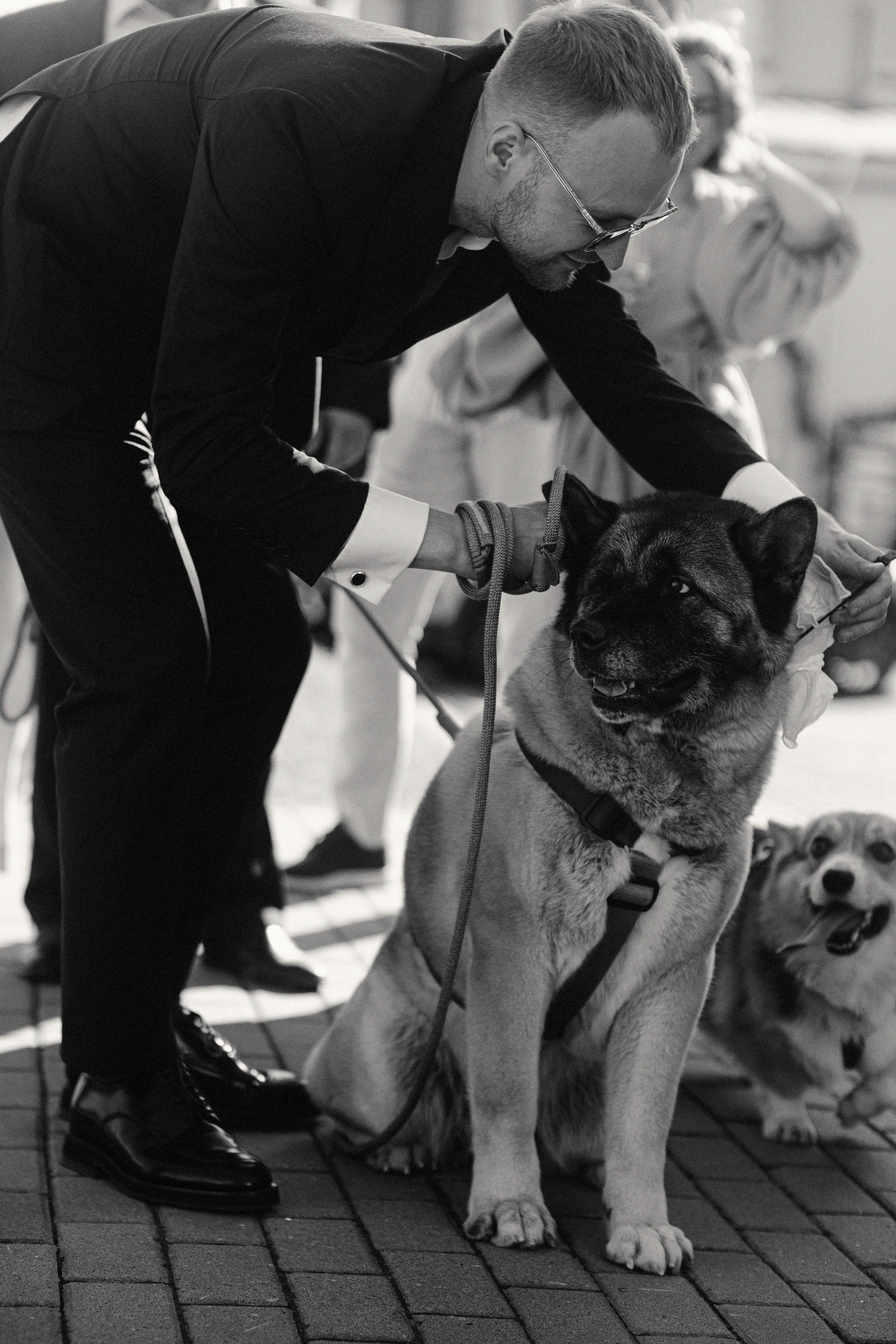 Love&Paws. Сентиментальная свадебная фотография