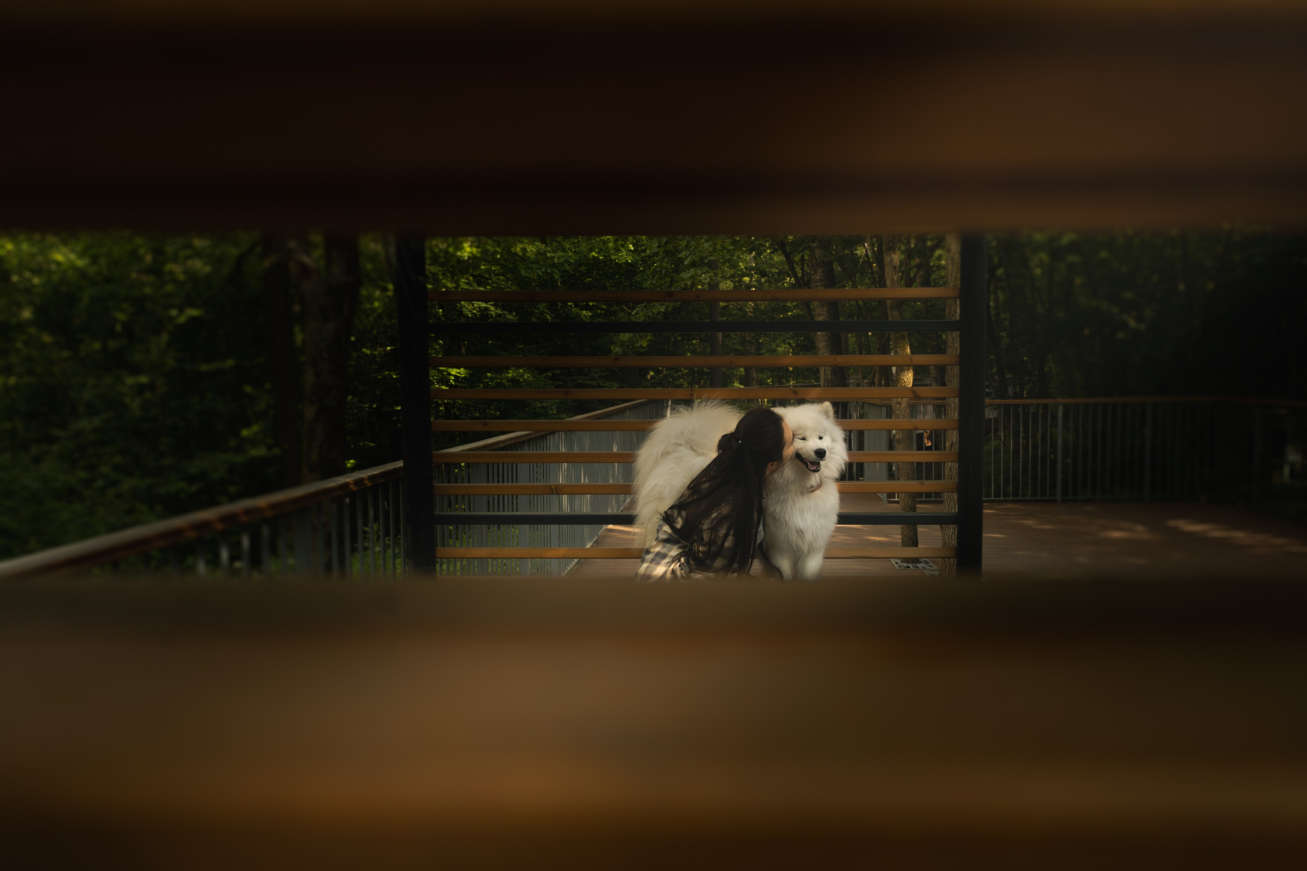 Девушка целует свою собаку: фотосессия в парке