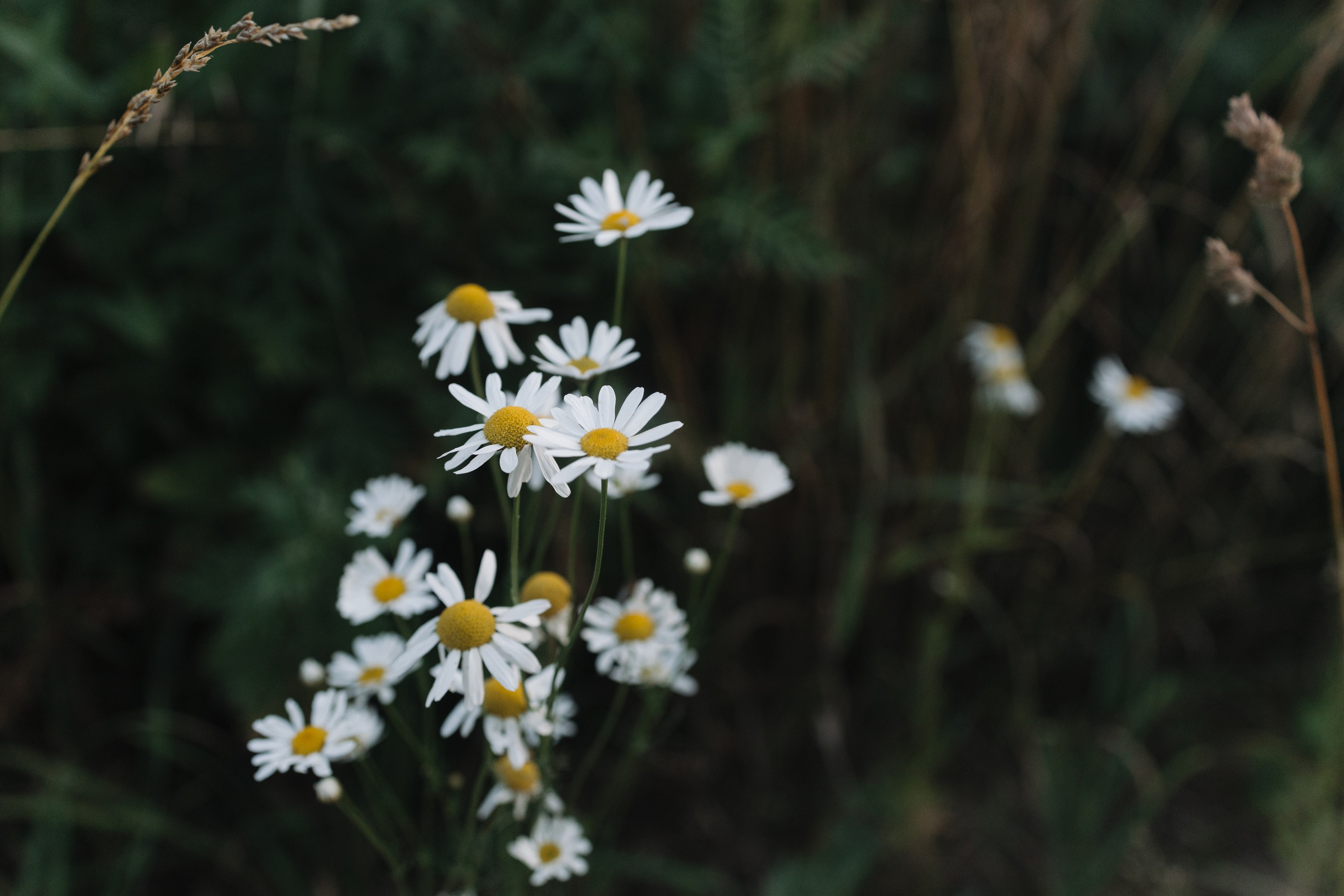 За городом. Про любовь