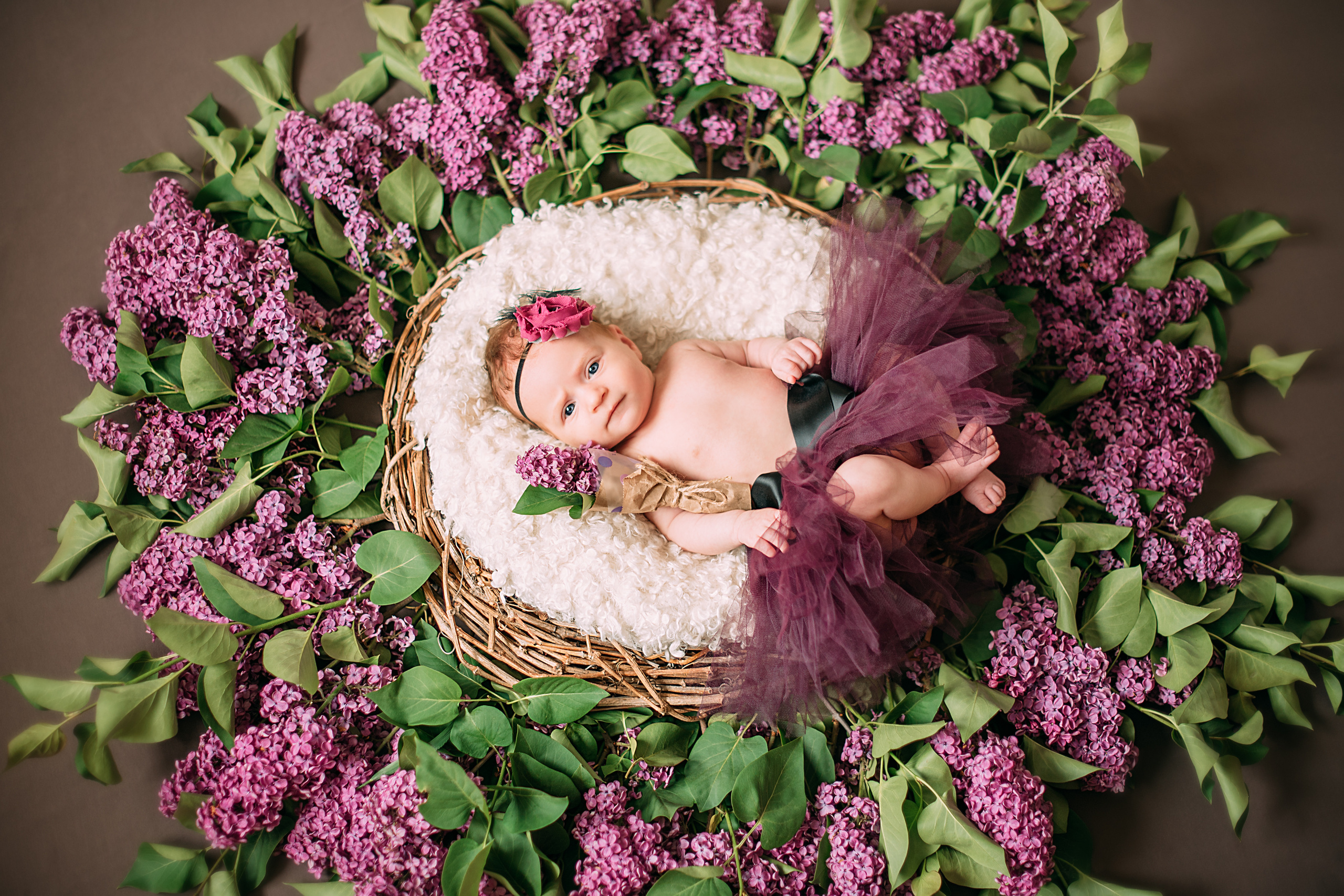 Полиночка. Фотограф беременности и новорожденных малышей Анастасия Никитина