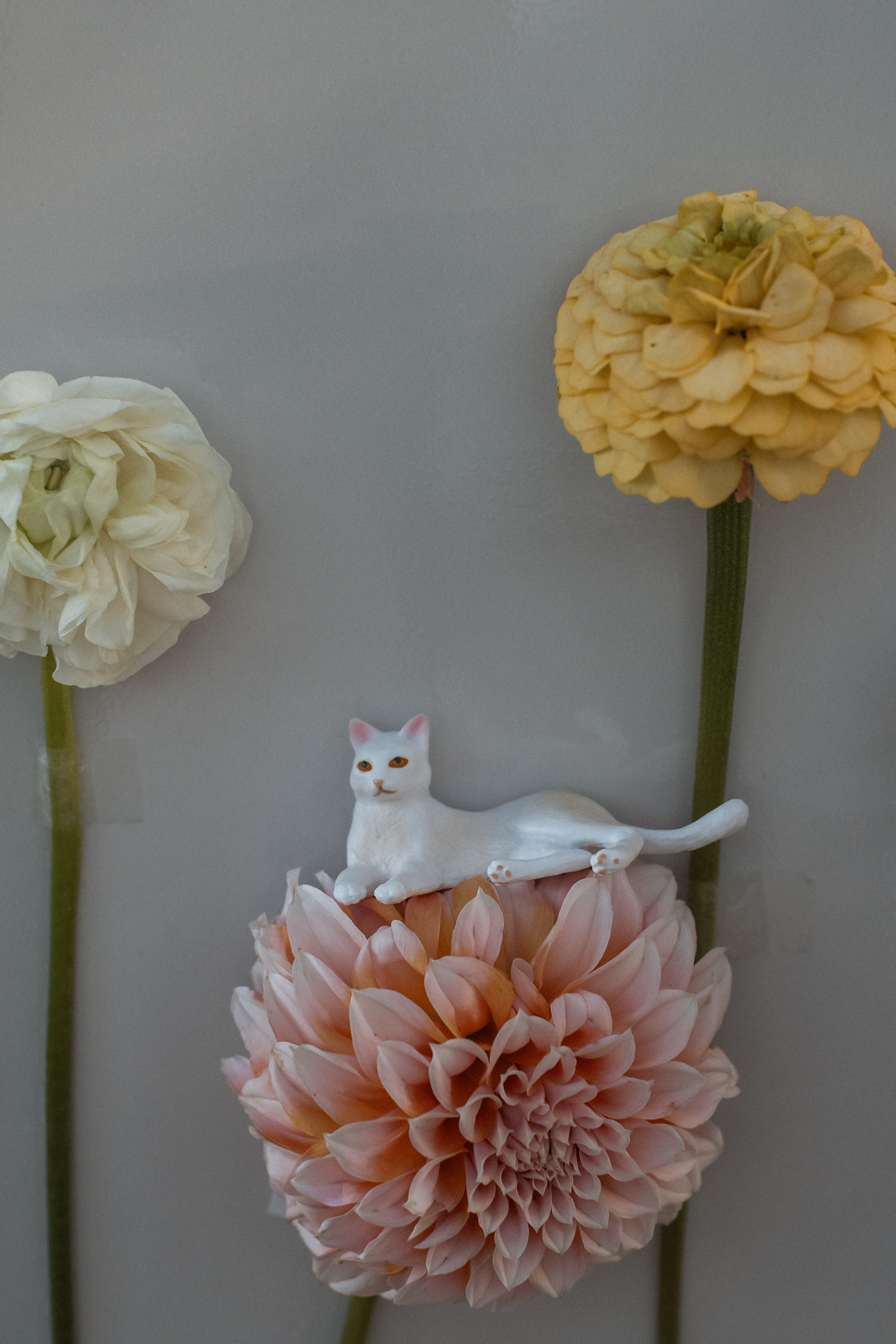 Питер FM. Свадебный фотограф Москва Светлана Анисимова