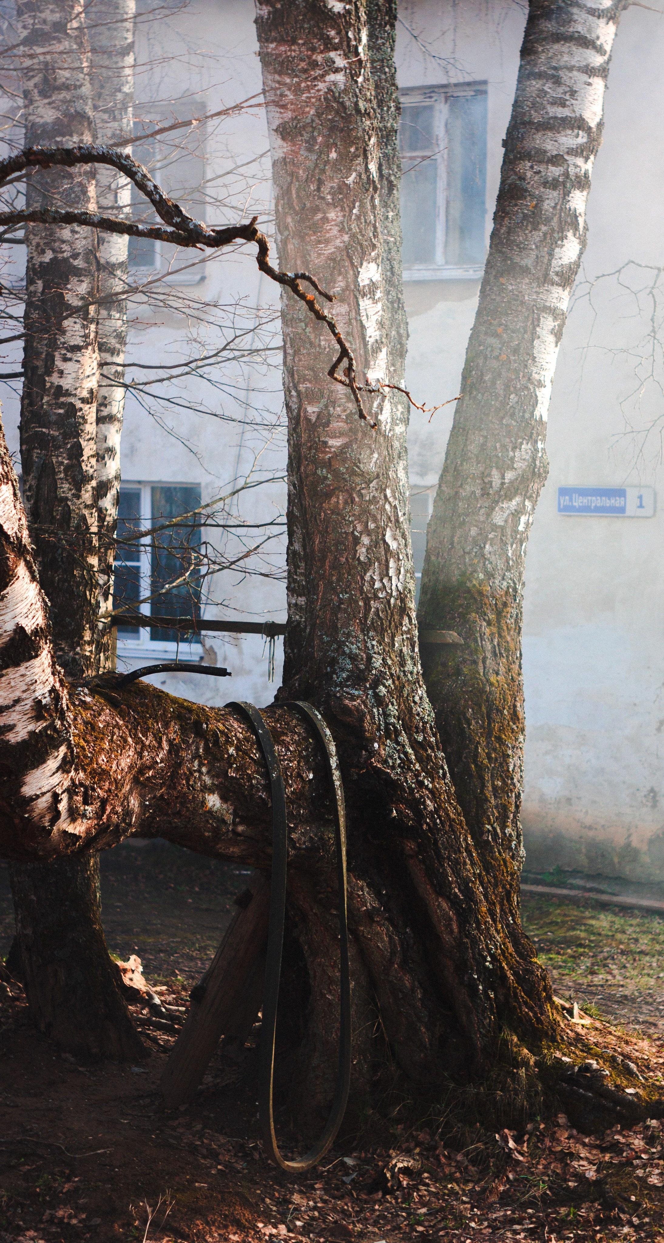 The Haunted Castle. Den Mirov — Photographer, Musician