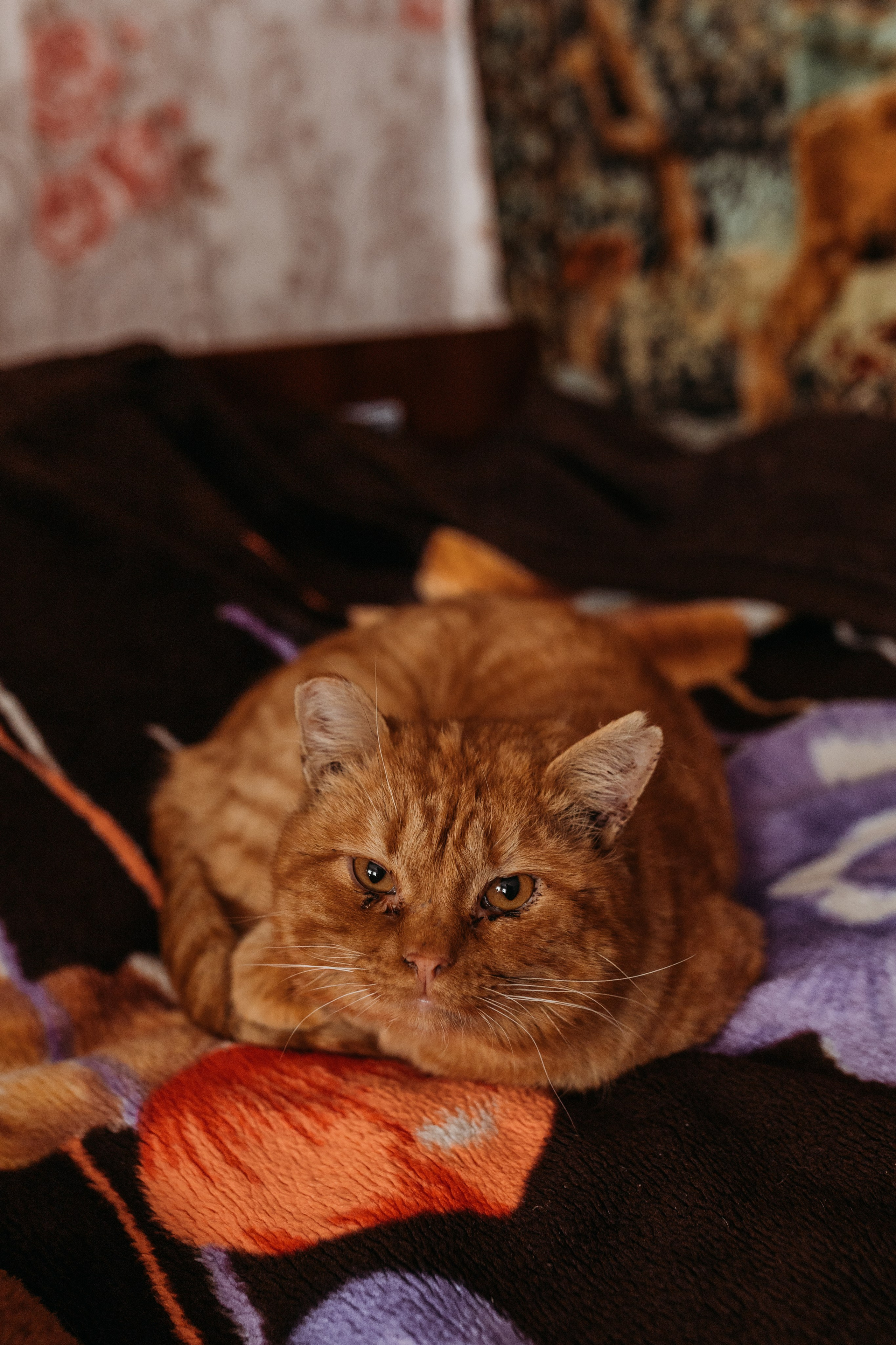 5 апреля — день неонатологов. Фотограф новорожденных в г. Барнаул Ренпенинг Катерина