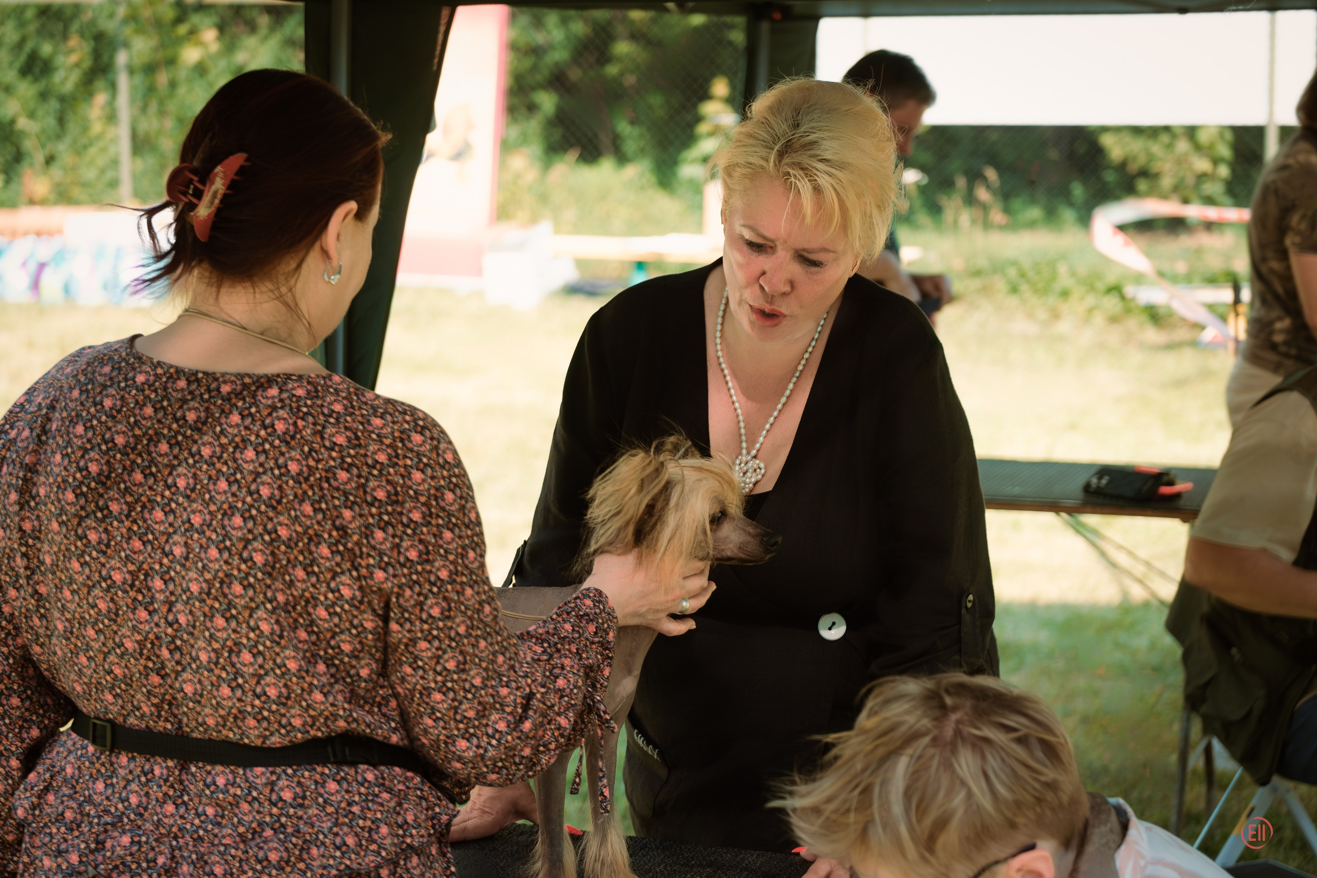 Ashantal Emmanuel Poale Ell. Chinese Crested Dog Kennel Poale Ell