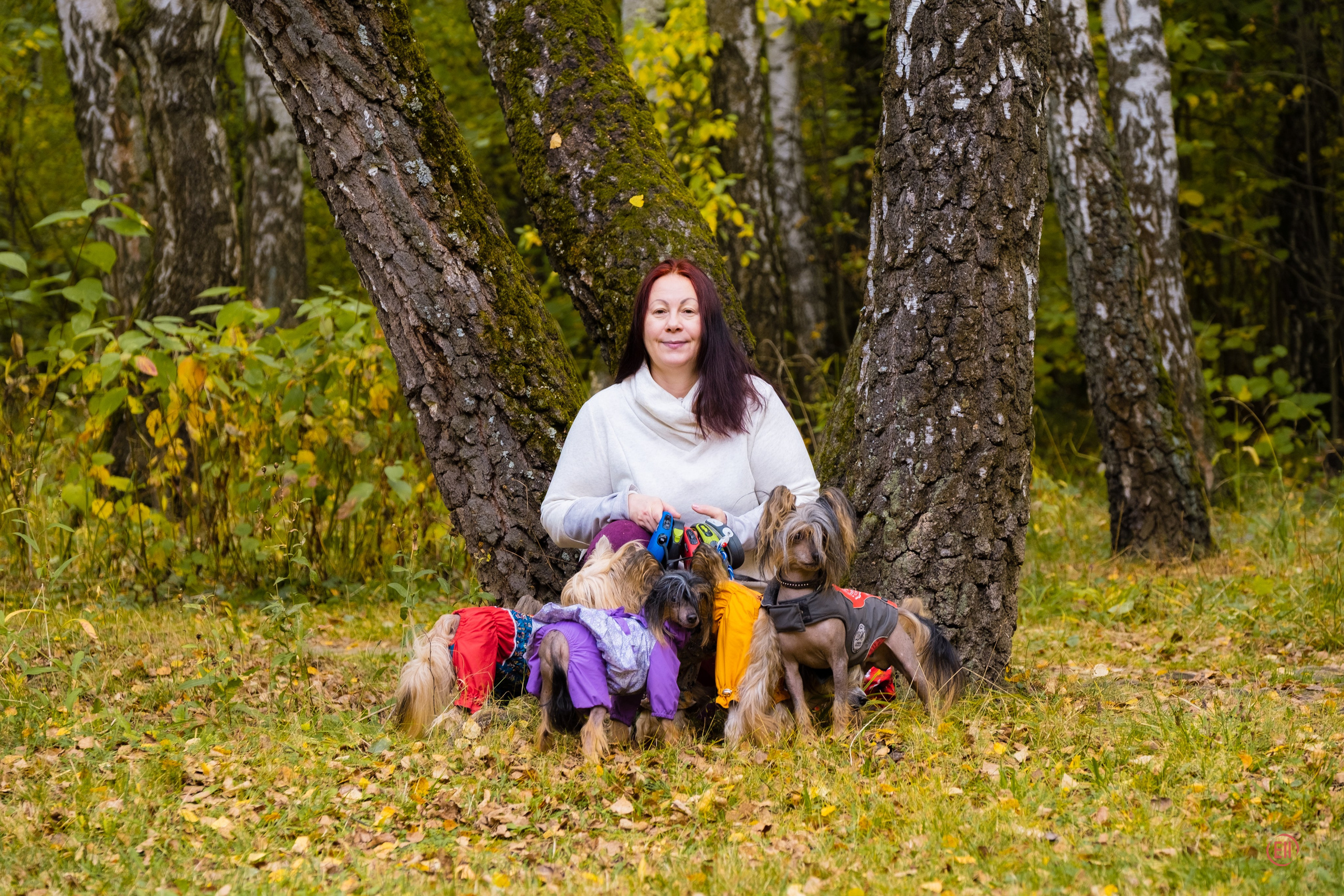 Morning walk in the park. Chinese Crested Dog Kennel Poale Ell
