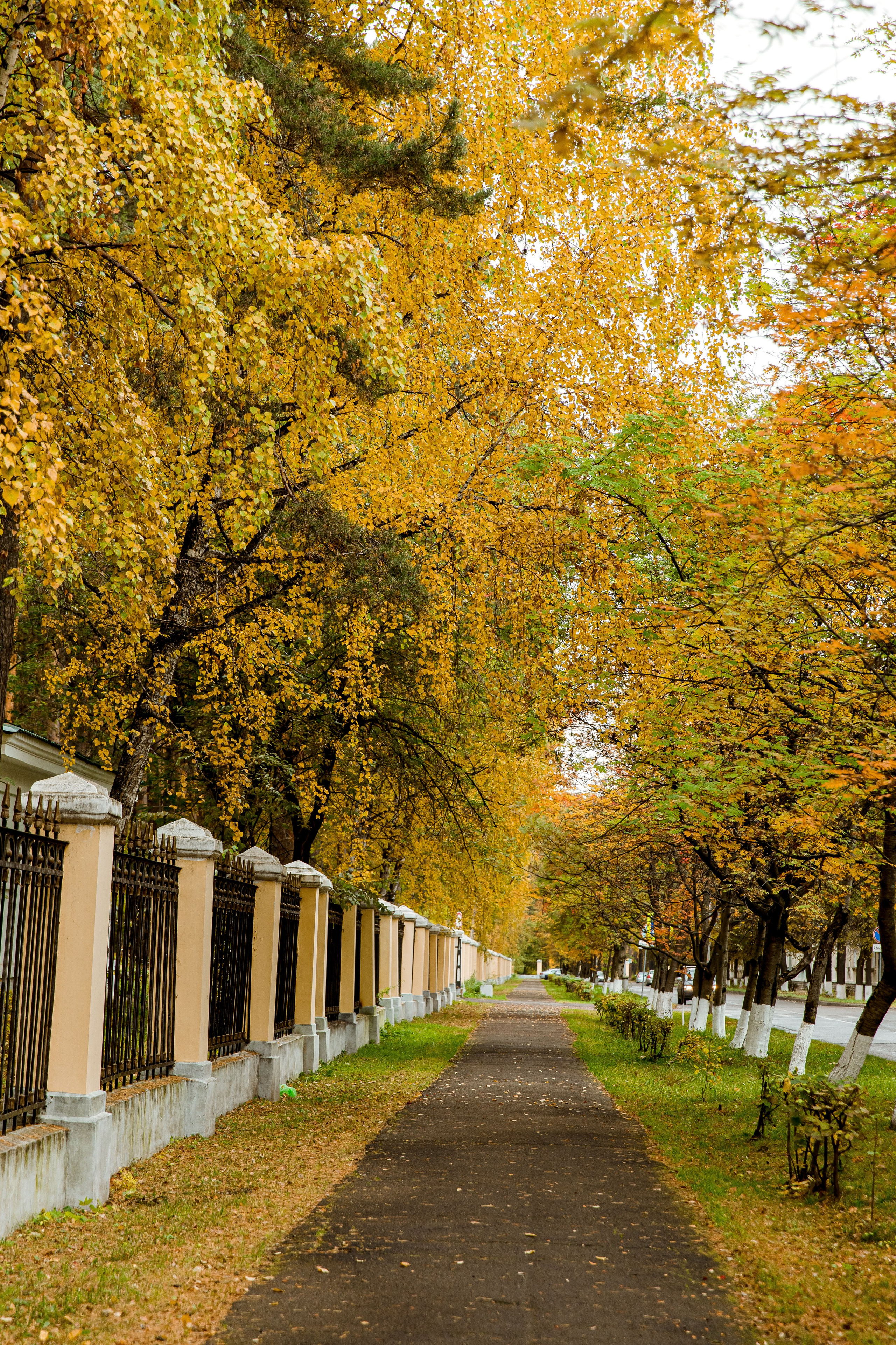 Осень в парке. Семейный и детский фотограф в Железногорске Саламахо Ольга
