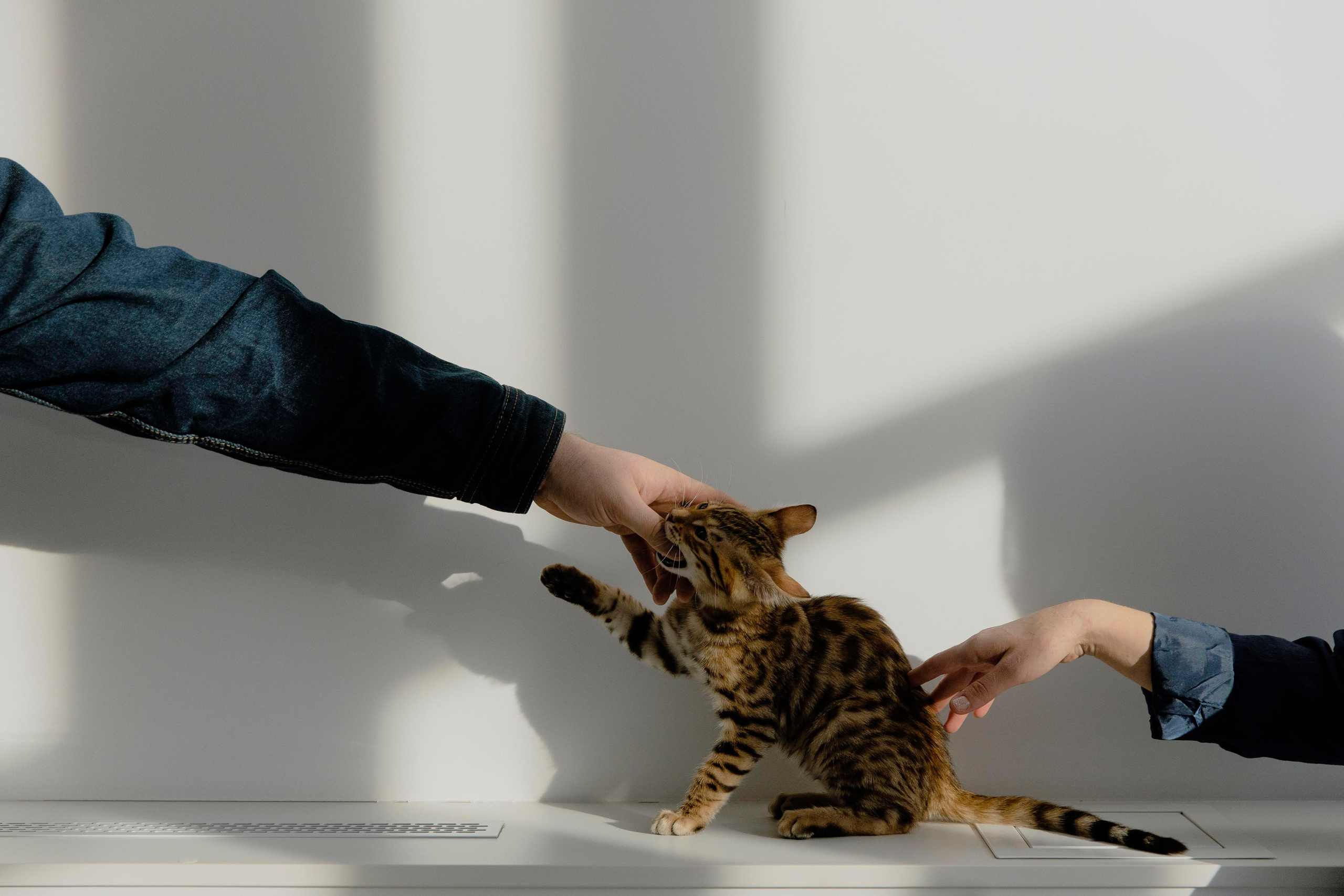 Аня Нагайцева фотограф в Томске, семьи, портреты, контент