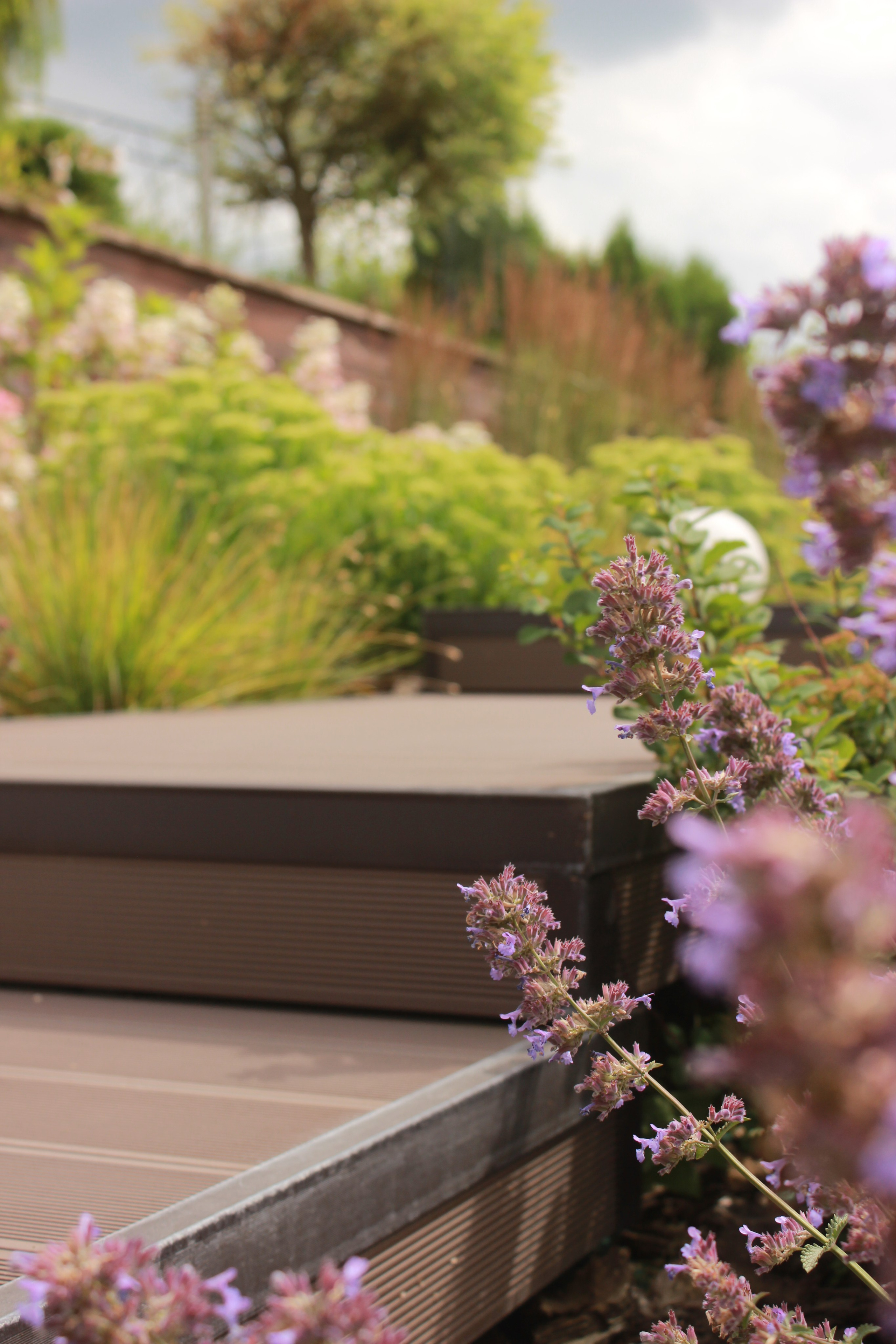 GARDEN IN S. LA. Ландшафтный дизайн в Минске и Гродно