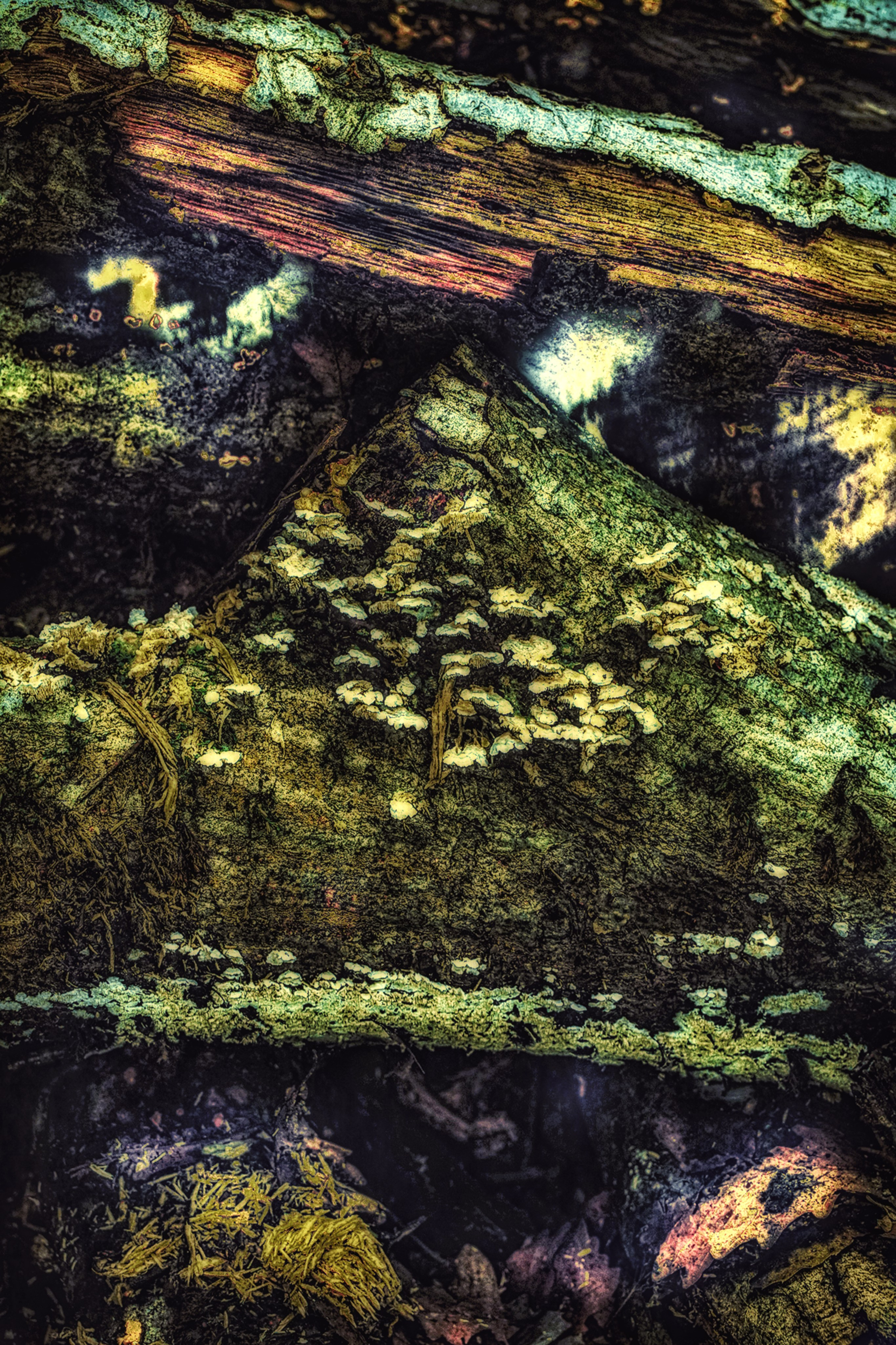 Творчество. Фотограф в Сочи Елена Лисотина. Фототуры в Сочи