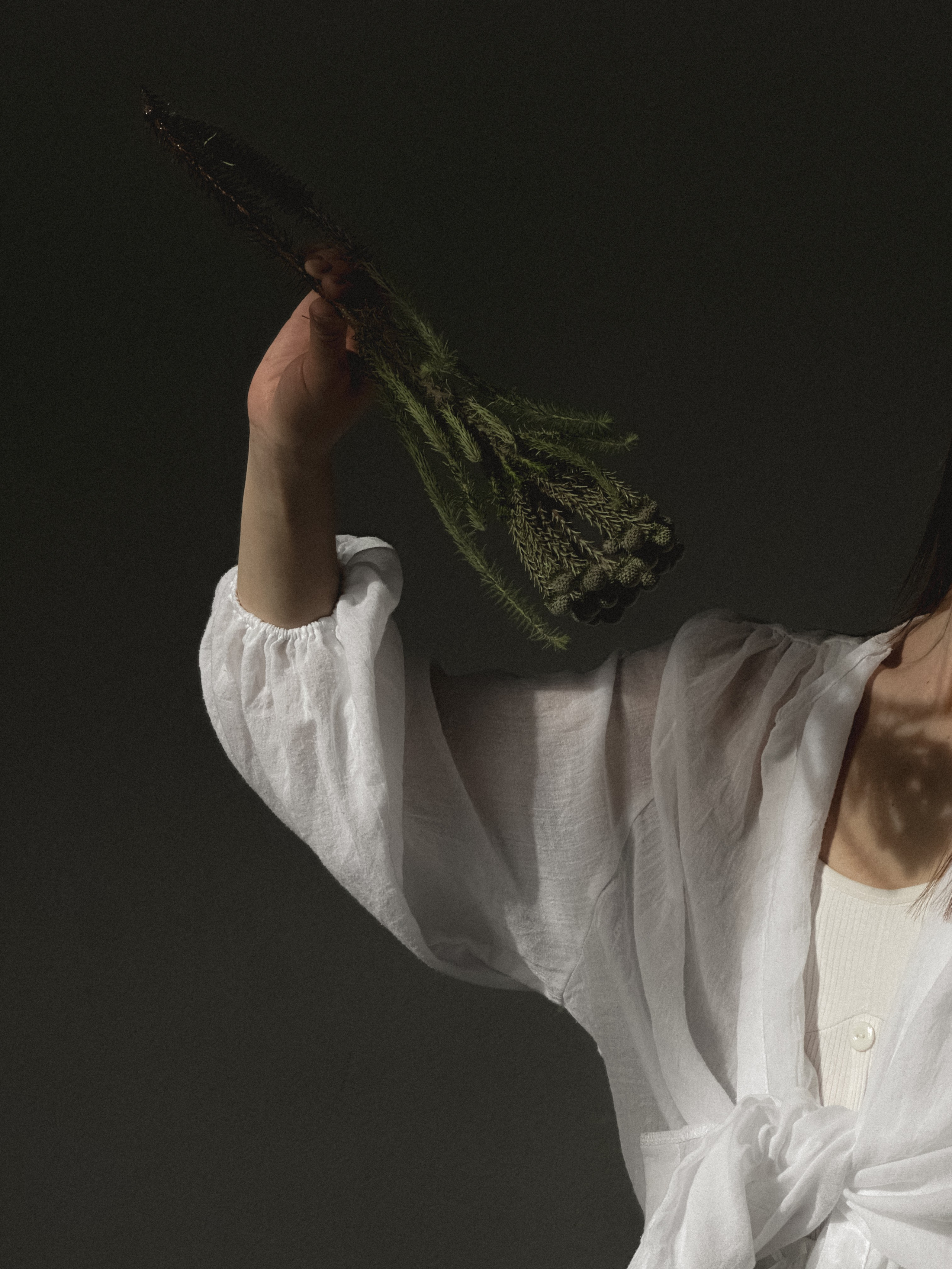 Мобильная съемка. Интерьерный фотограф в Санкт-Петербурге Диана Аносова