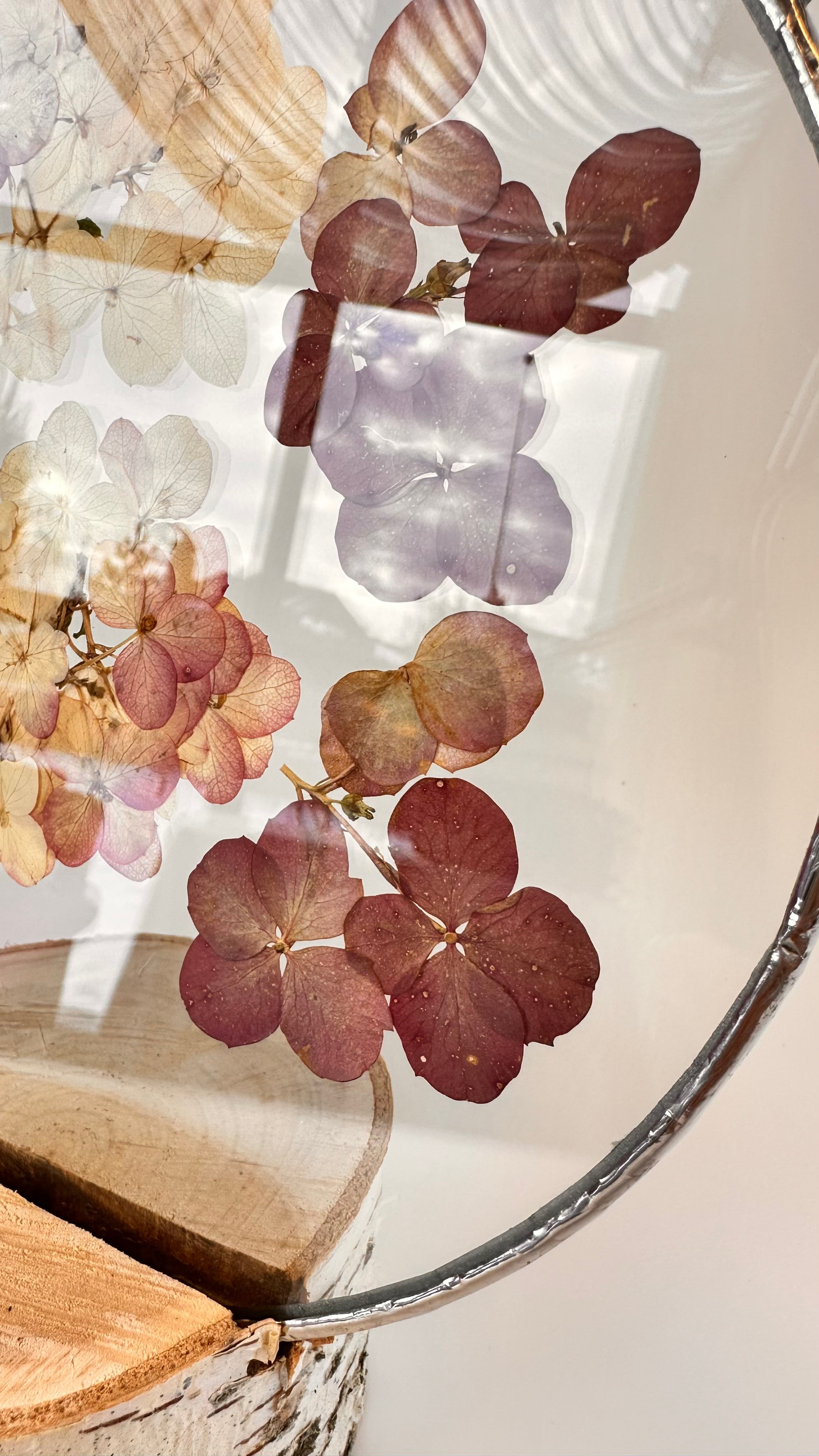 Гортензия круг 20 см. Оформляю пространства. Витражи с сухоцветами в технике Тиффани