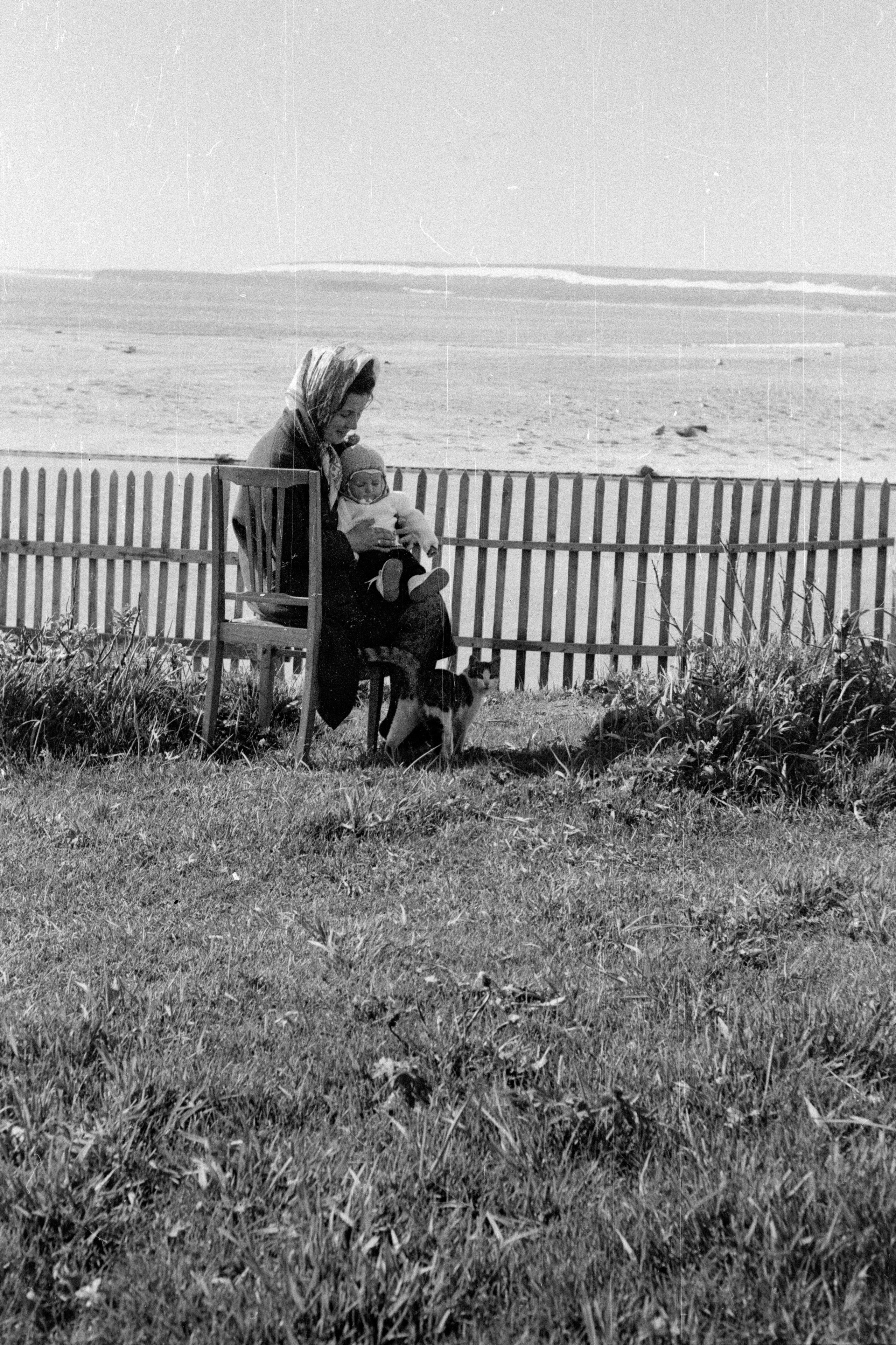 Архив. «Так далеко, ТАК БЛИЗКО. В поисках острова Беринга». Музей истории фотографии в Санкт-Петербурге