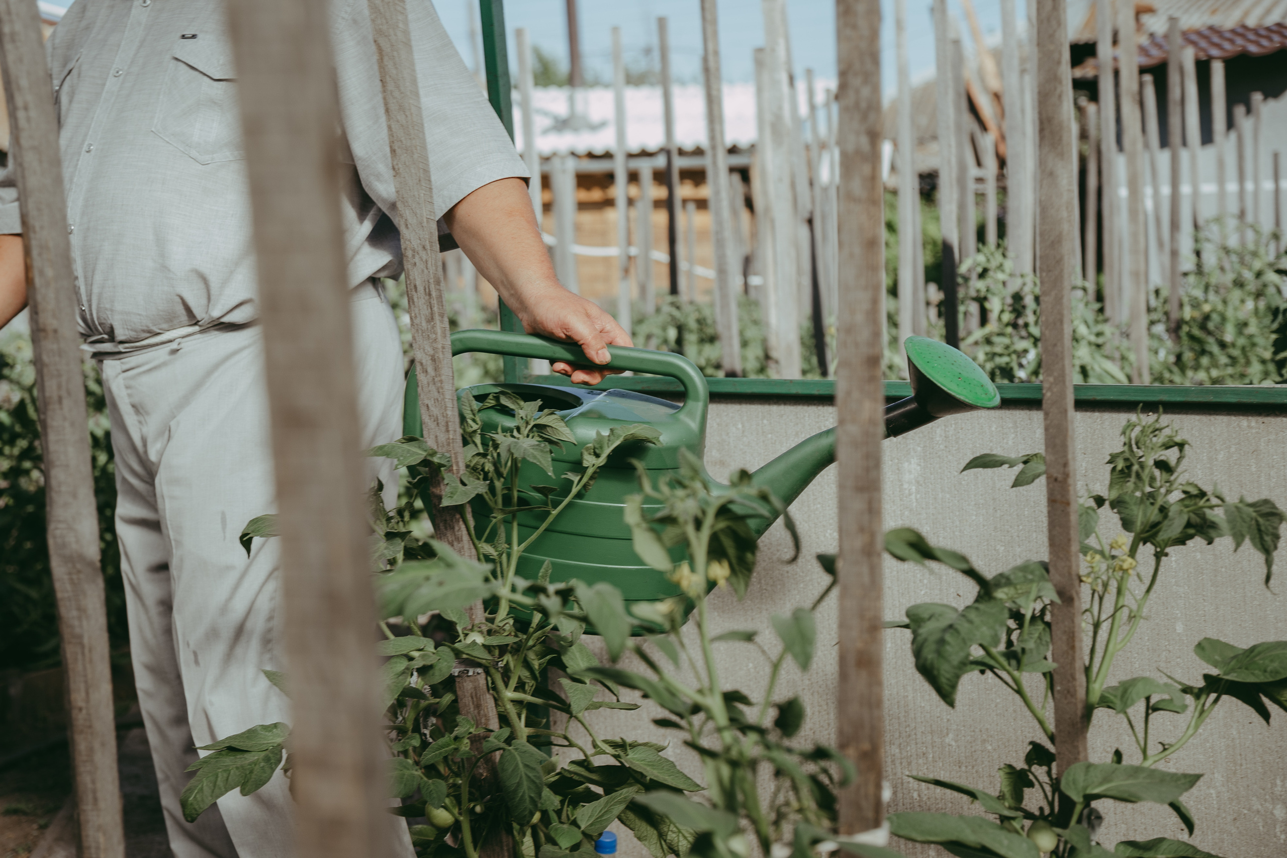 Семья Монастыршиных. Свадебный и семейный фотограф в Абакане Василевский Алексей