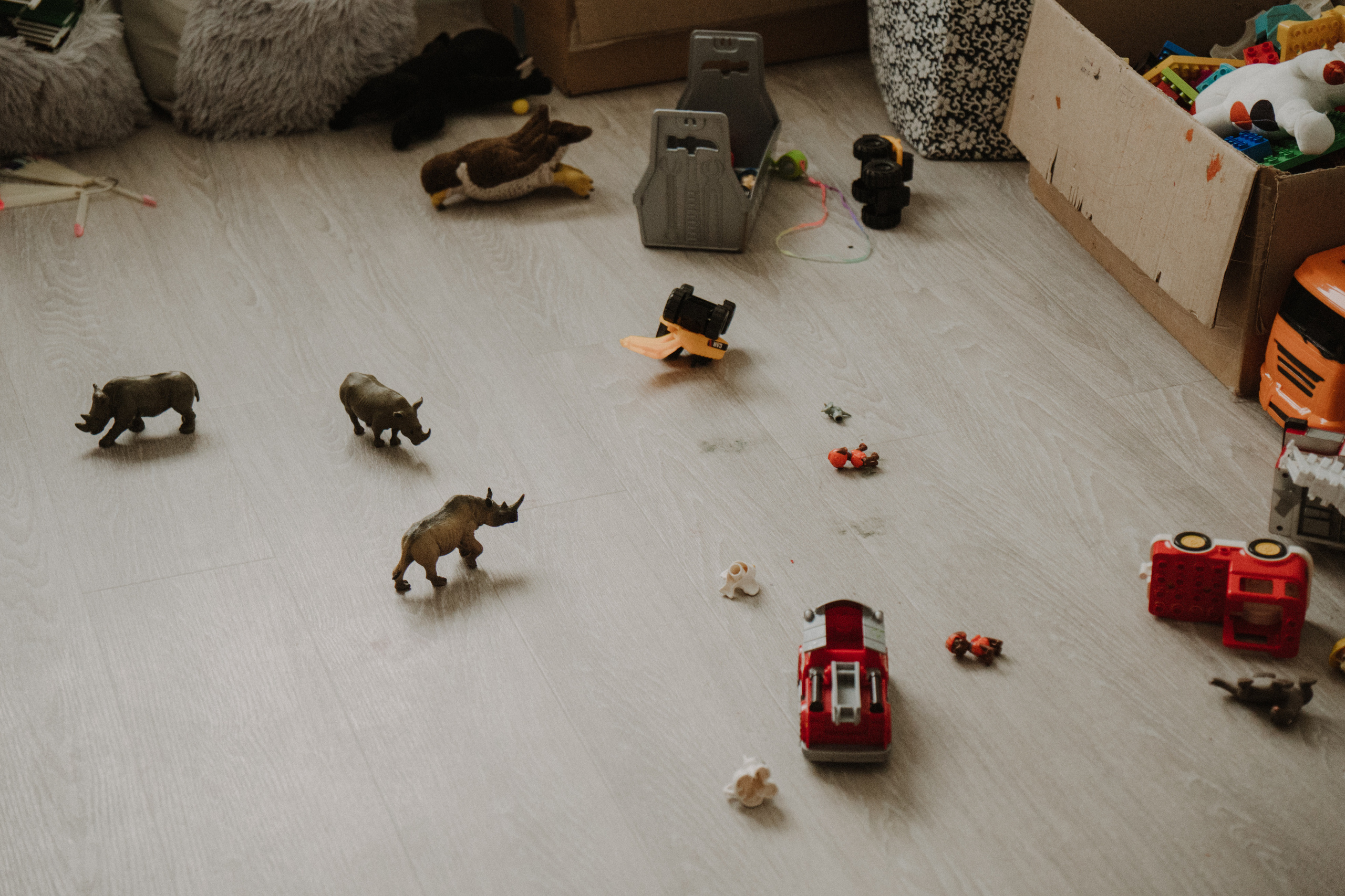 Семья Руденко. Свадебный и семейный фотограф в Абакане Василевский Алексей