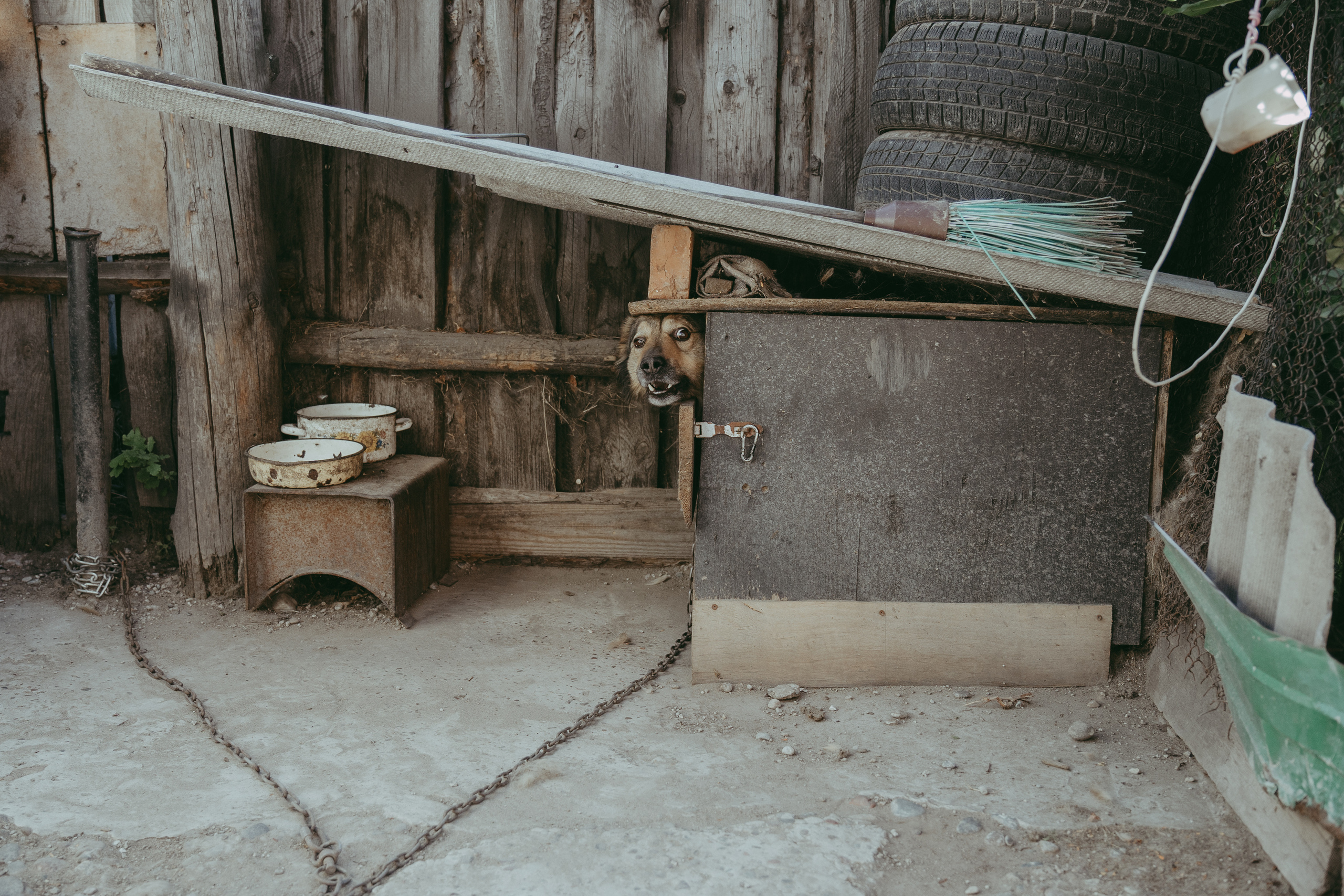 Семья Монастыршиных. Свадебный и семейный фотограф в Абакане Василевский Алексей