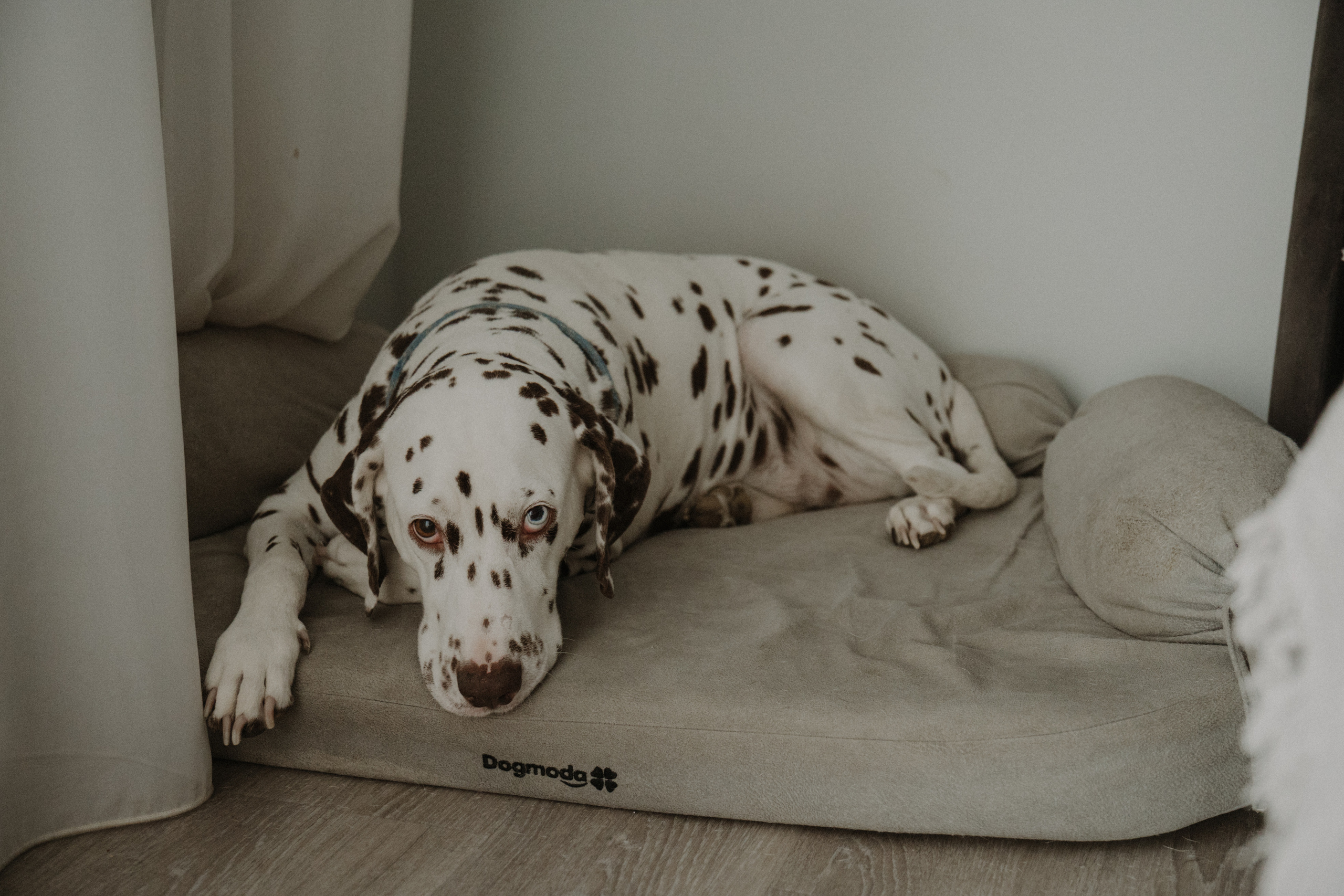 Семья Руденко. Свадебный и семейный фотограф в Абакане Василевский Алексей