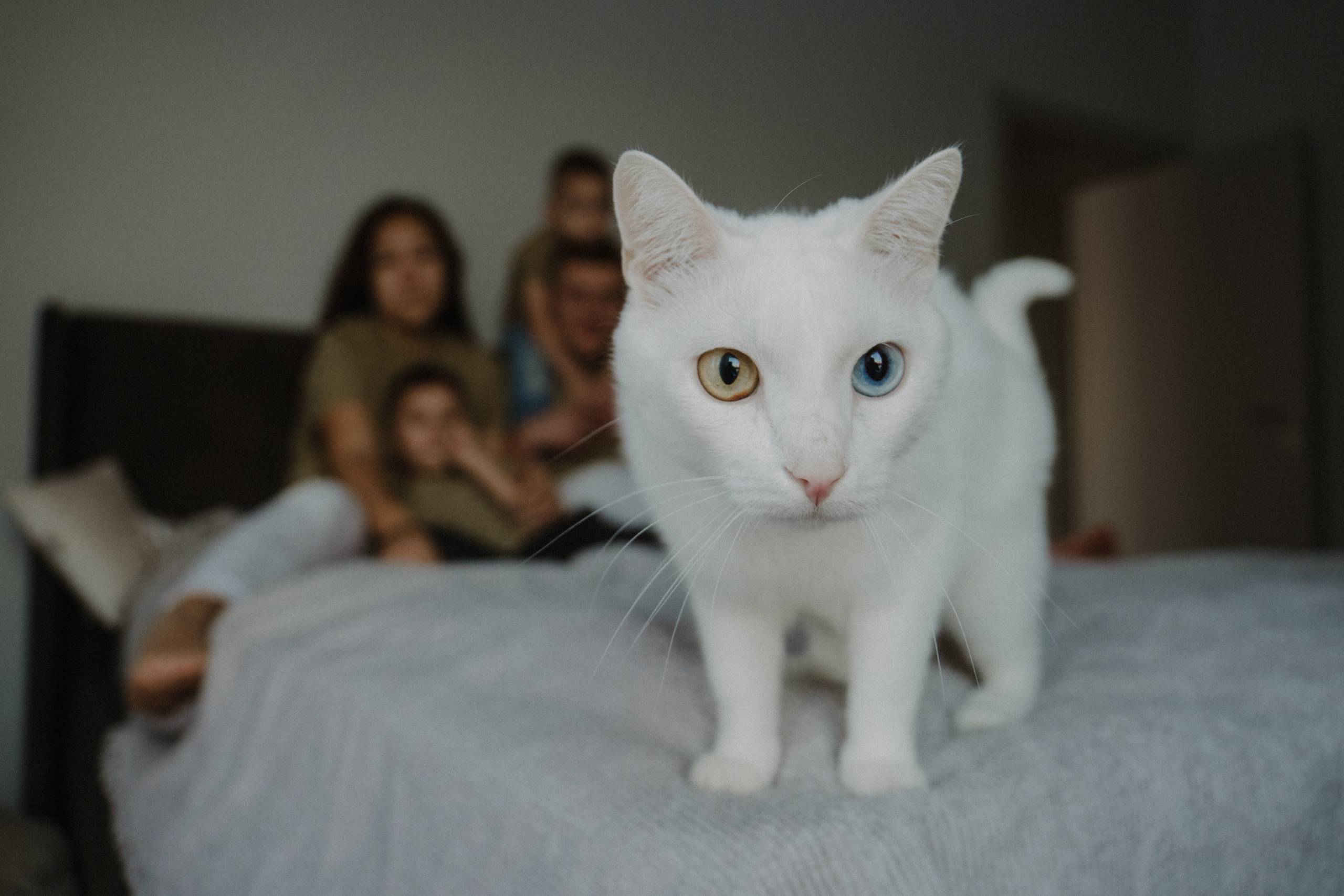 Семья Руденко. Свадебный и семейный фотограф в Абакане Василевский Алексей