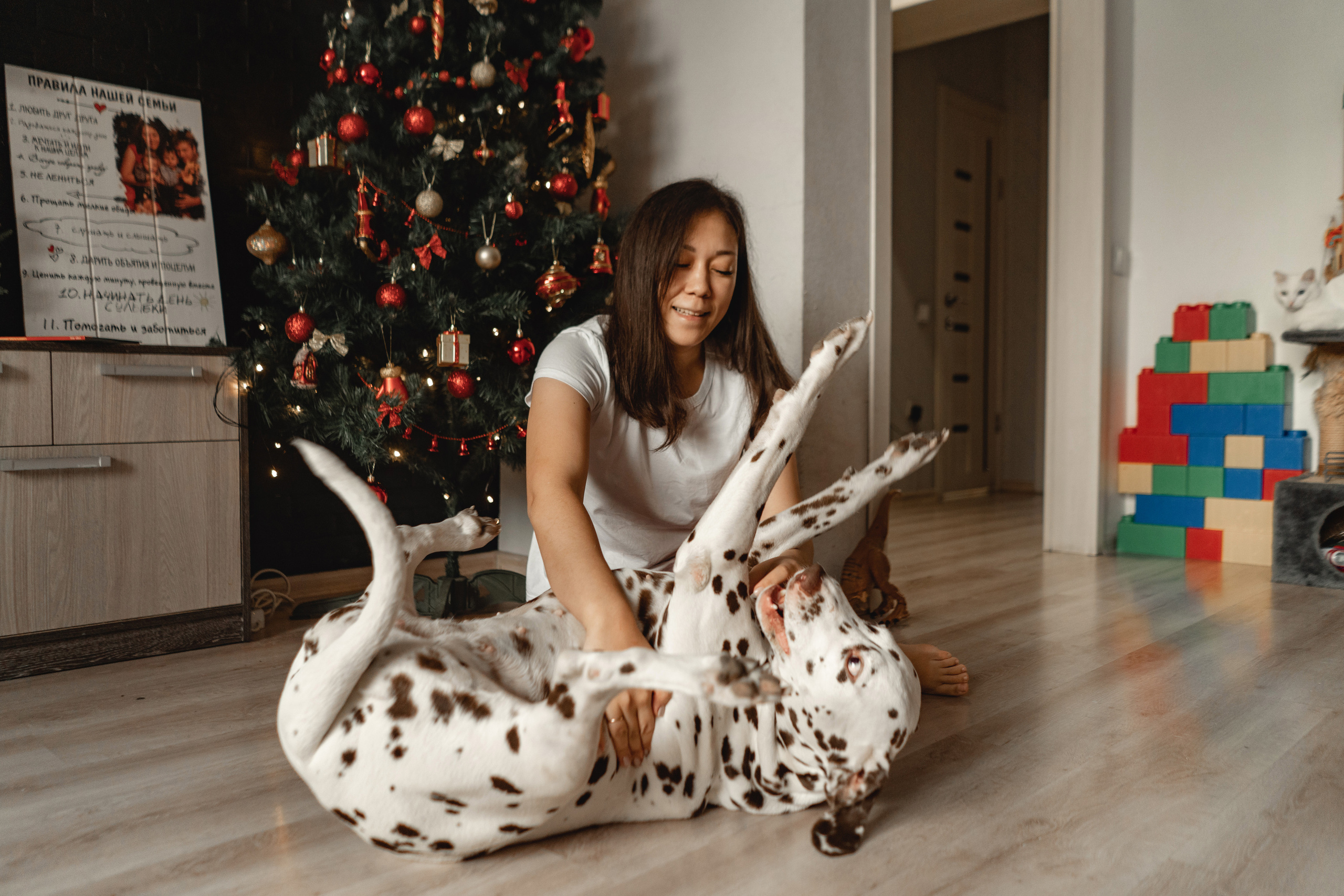 Семья Руденко. Свадебный и семейный фотограф в Абакане Василевский Алексей