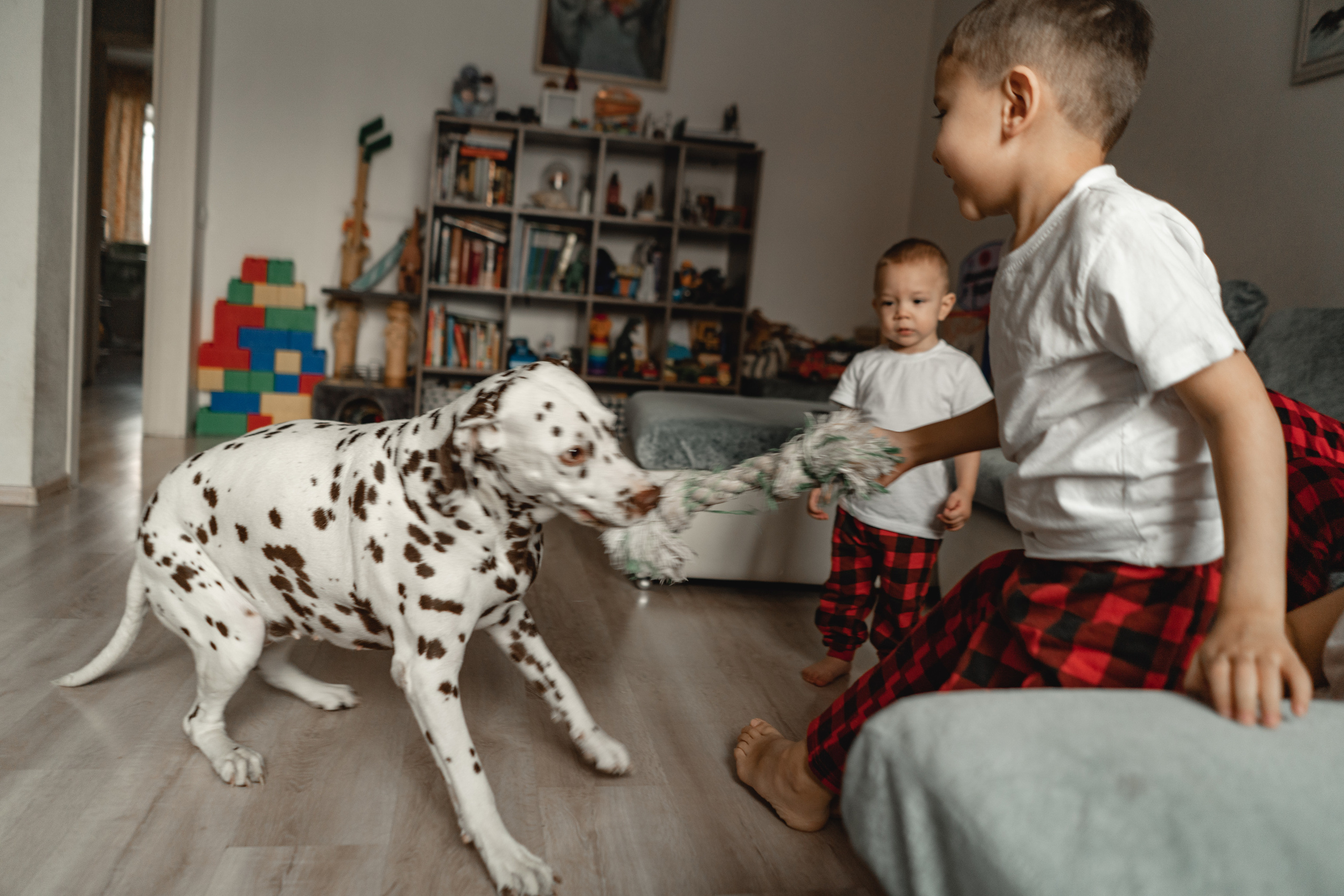 Семья Руденко. Свадебный и семейный фотограф в Абакане Василевский Алексей
