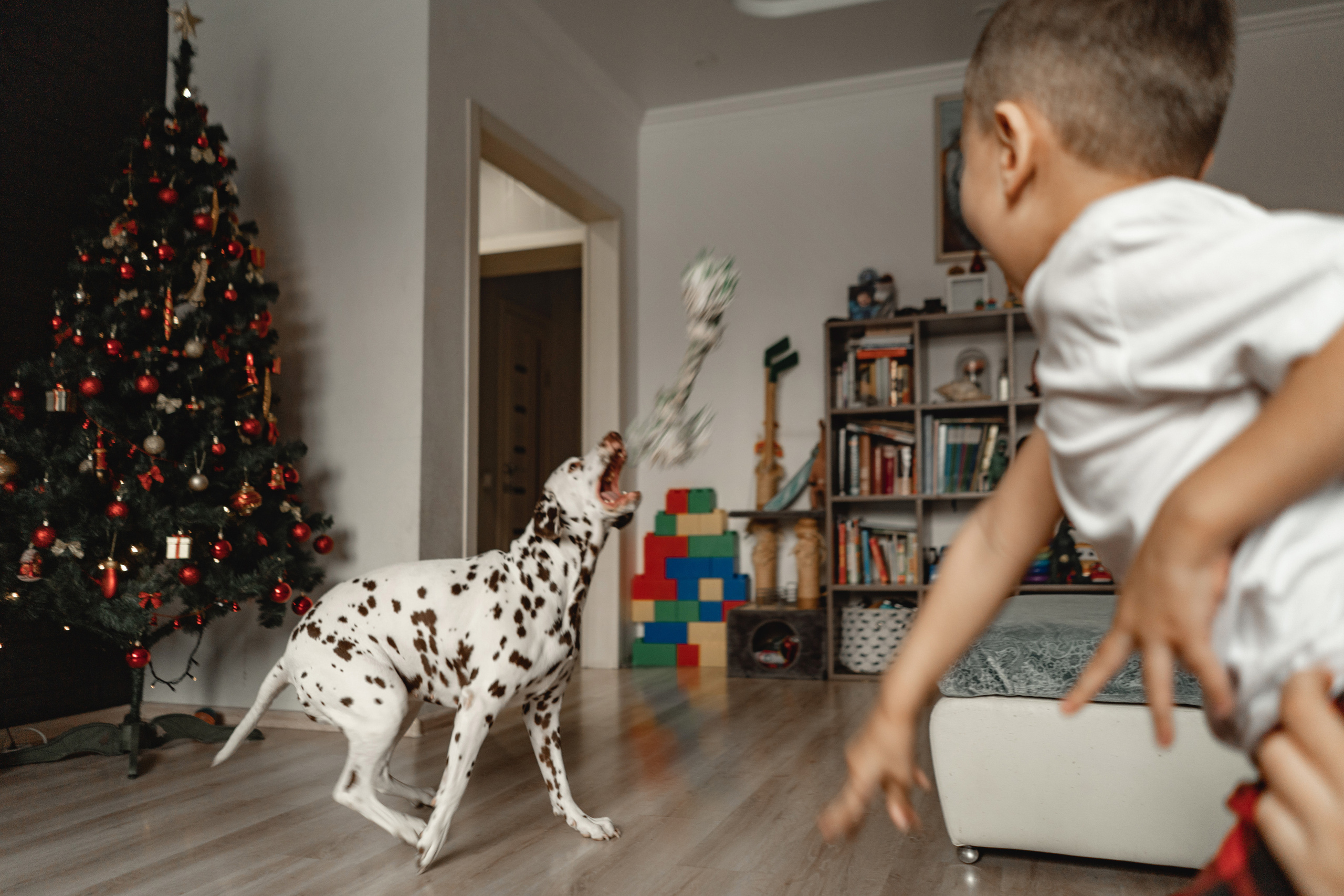 Семья Руденко. Свадебный и семейный фотограф в Абакане Василевский Алексей