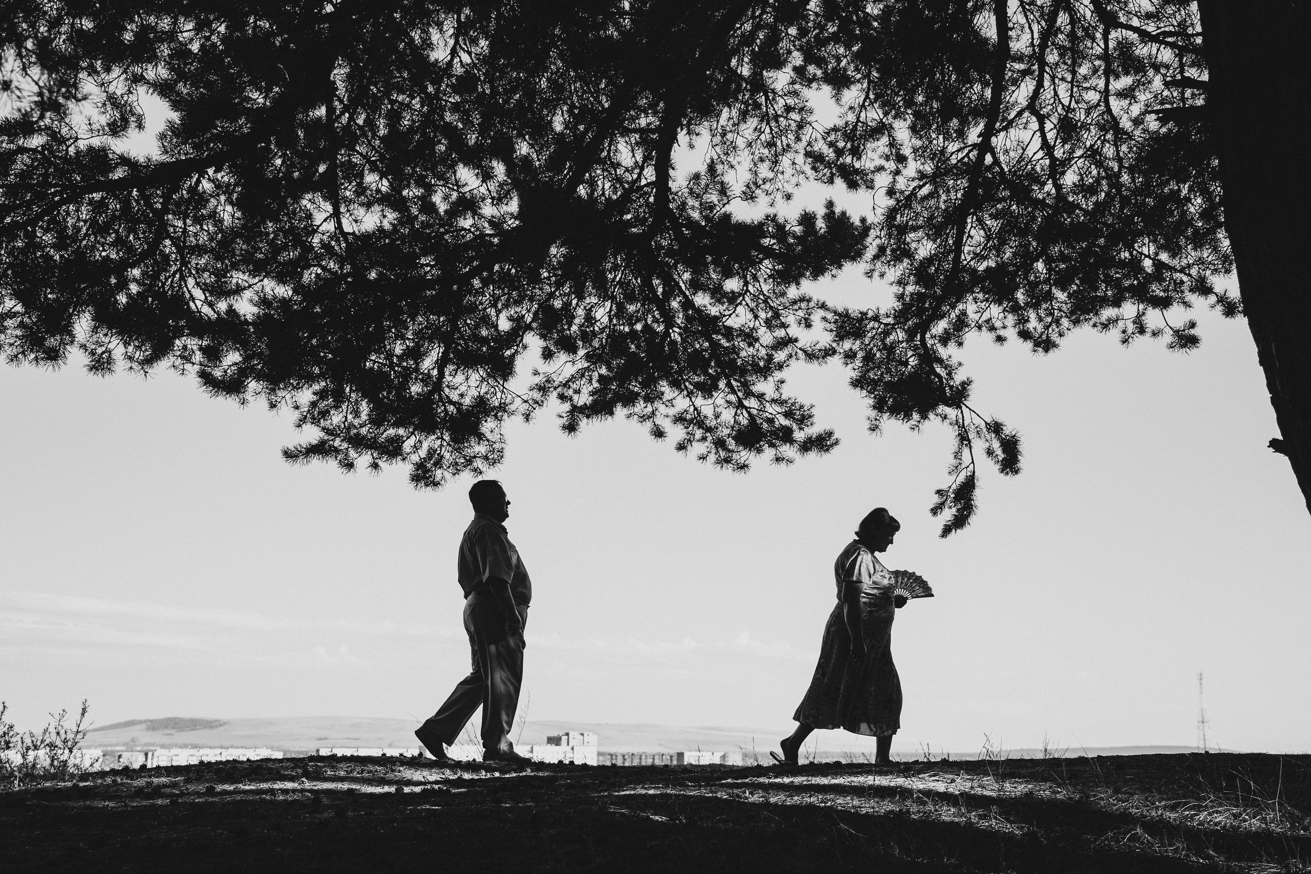 Семья Монастыршиных. Свадебный и семейный фотограф в Абакане Василевский Алексей