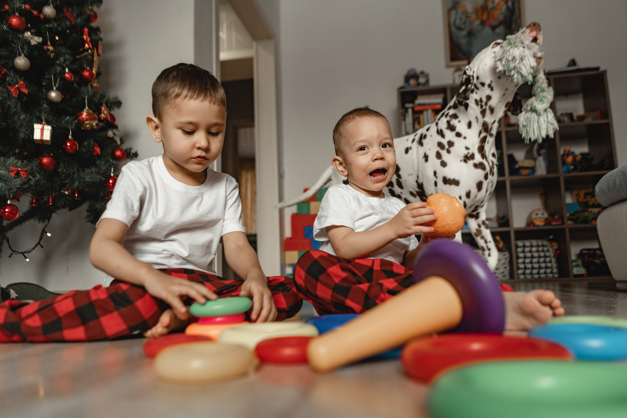 Семья Руденко. Свадебный и семейный фотограф в Абакане Василевский Алексей