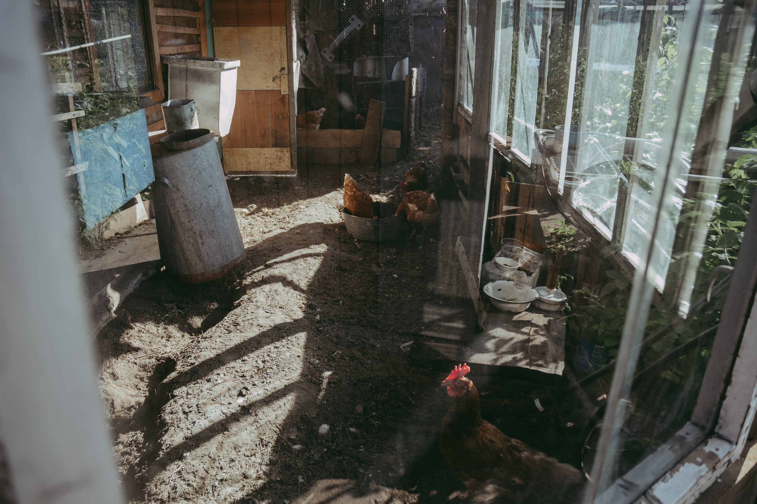 Семья Монастыршиных. Свадебный и семейный фотограф в Абакане Василевский Алексей