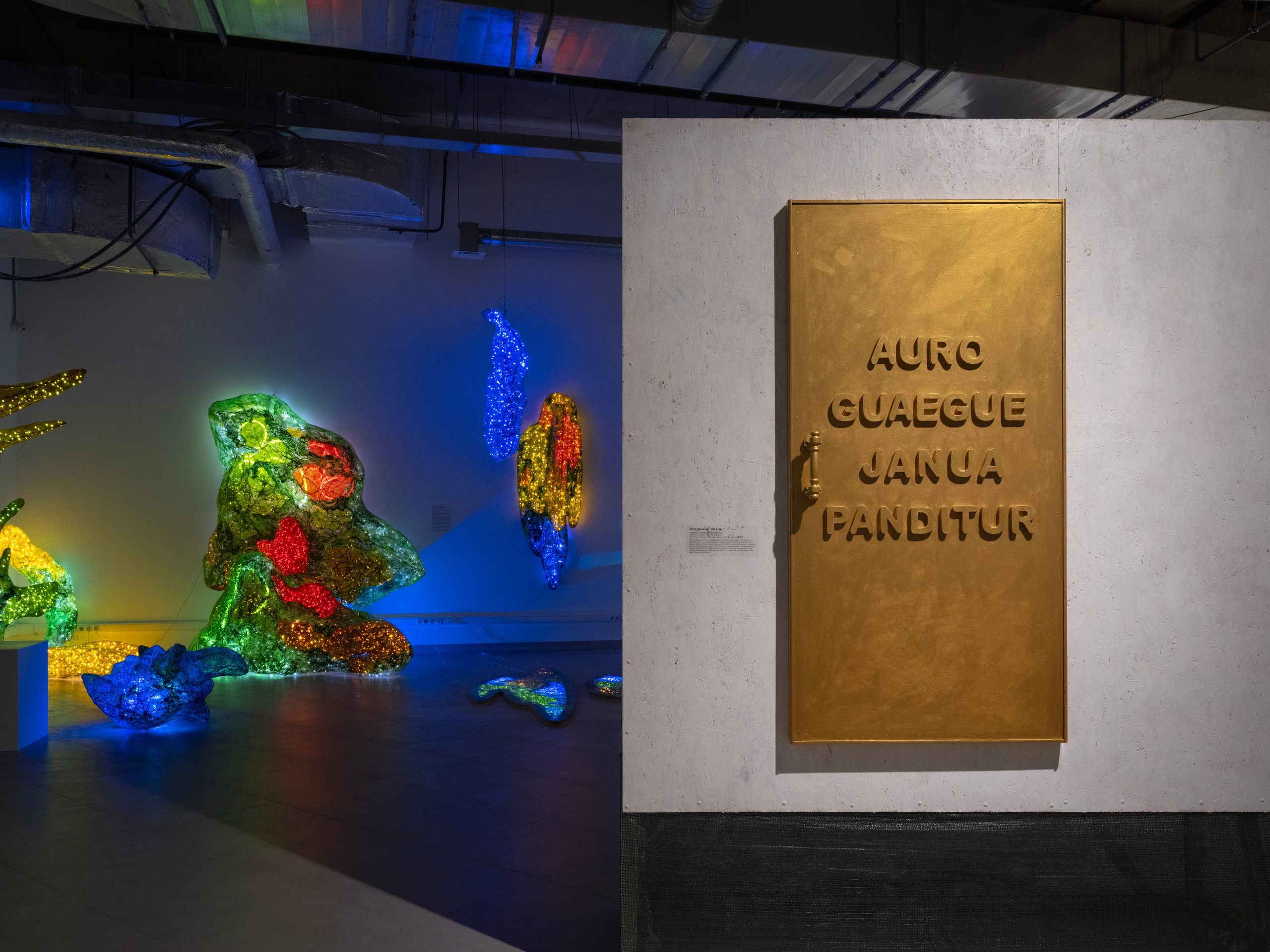 Дивный сад. Елизавета Иванова — независимый куратор, культуролог, исследователь художественных практик, художник